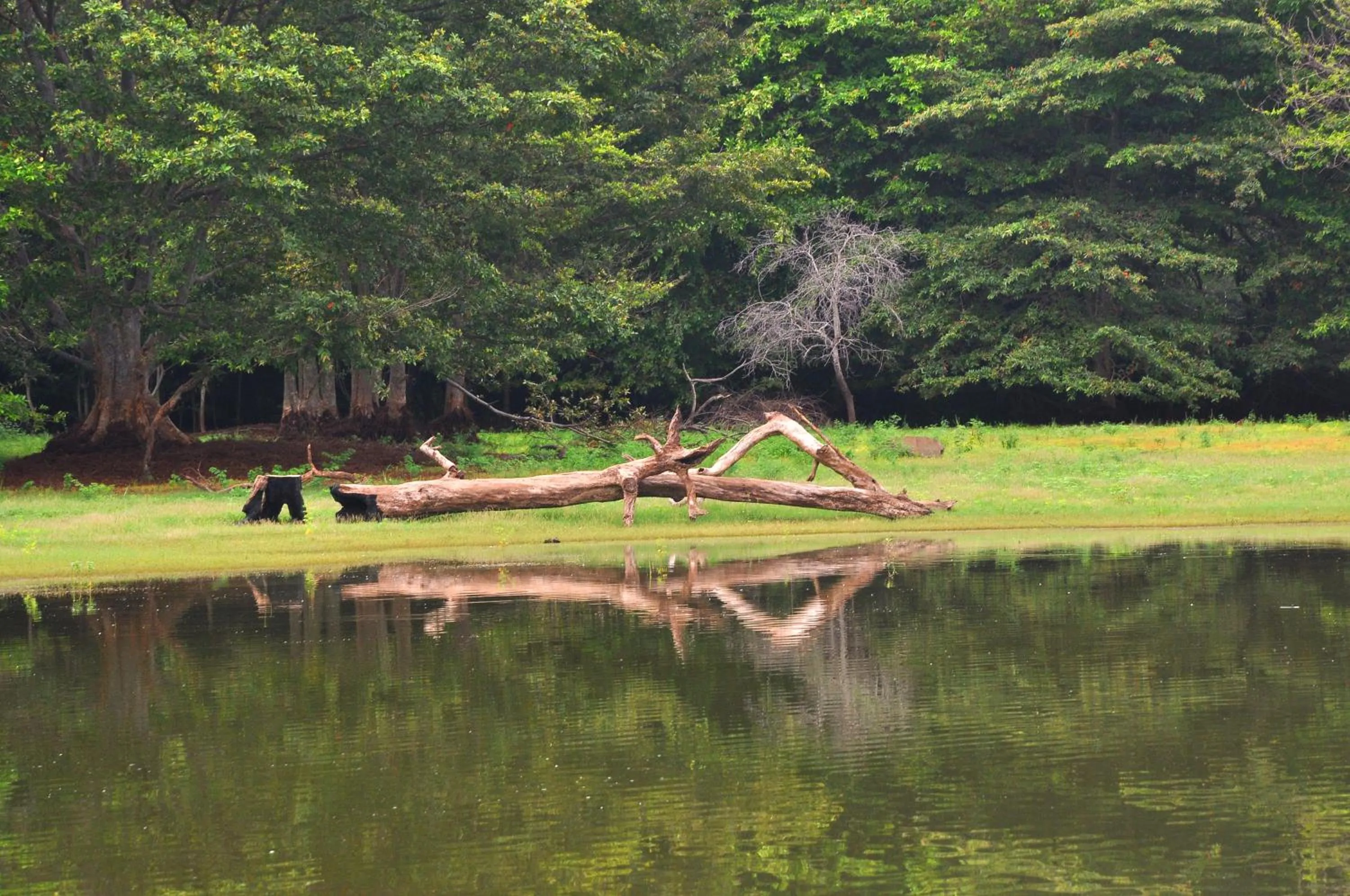 Natural landscape in La Pentera