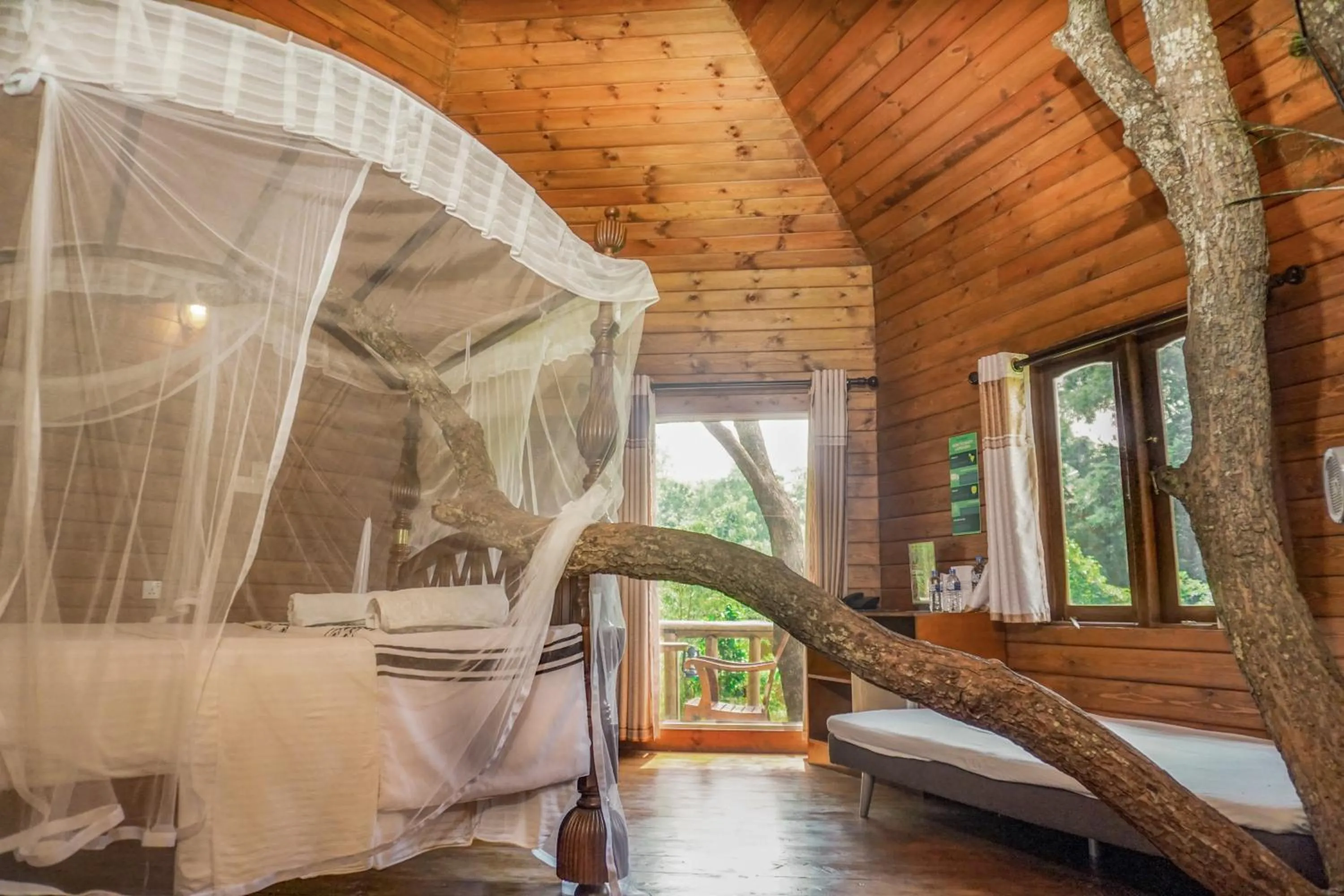 Living room, Bed in La Pentera