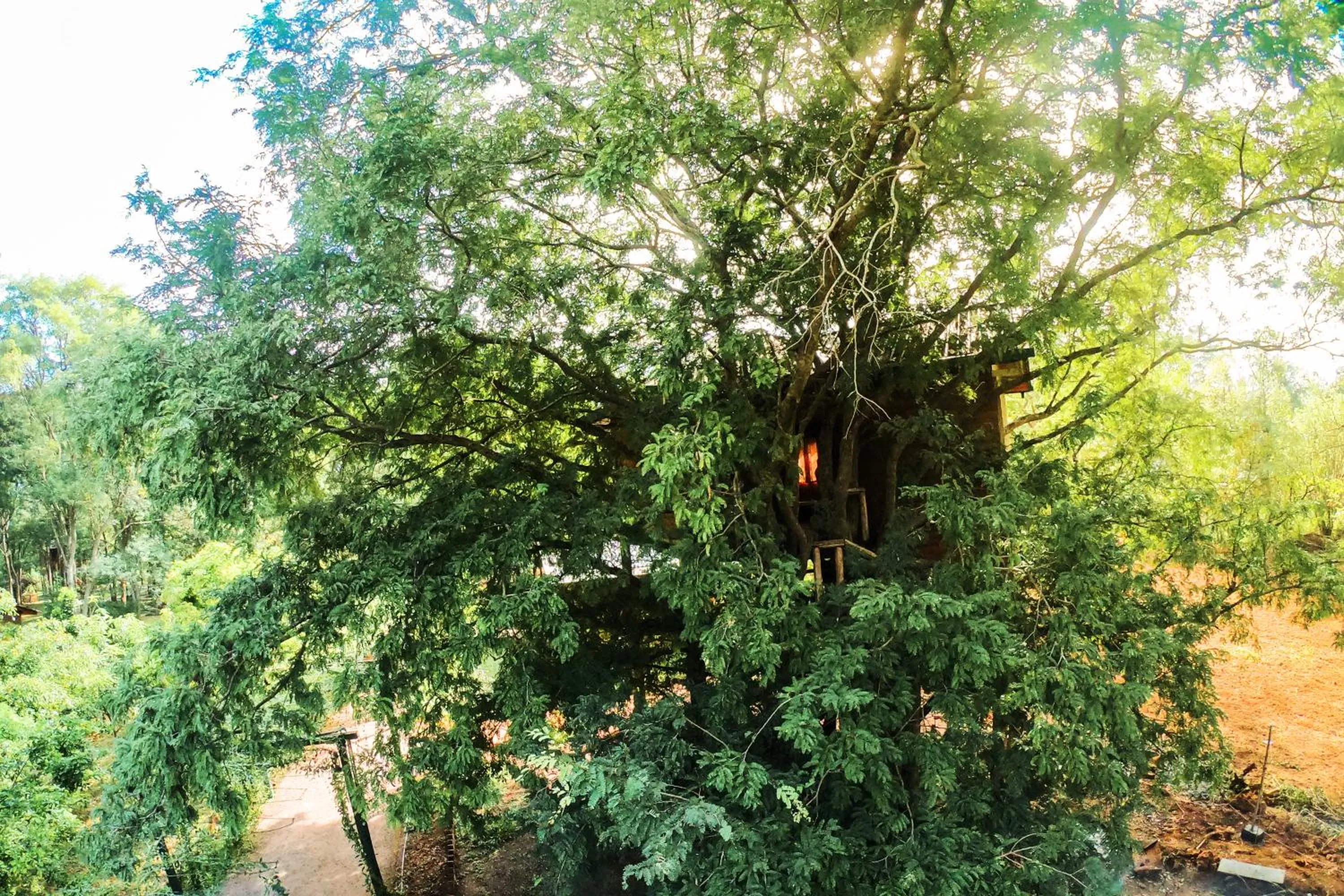 Garden in La Pentera