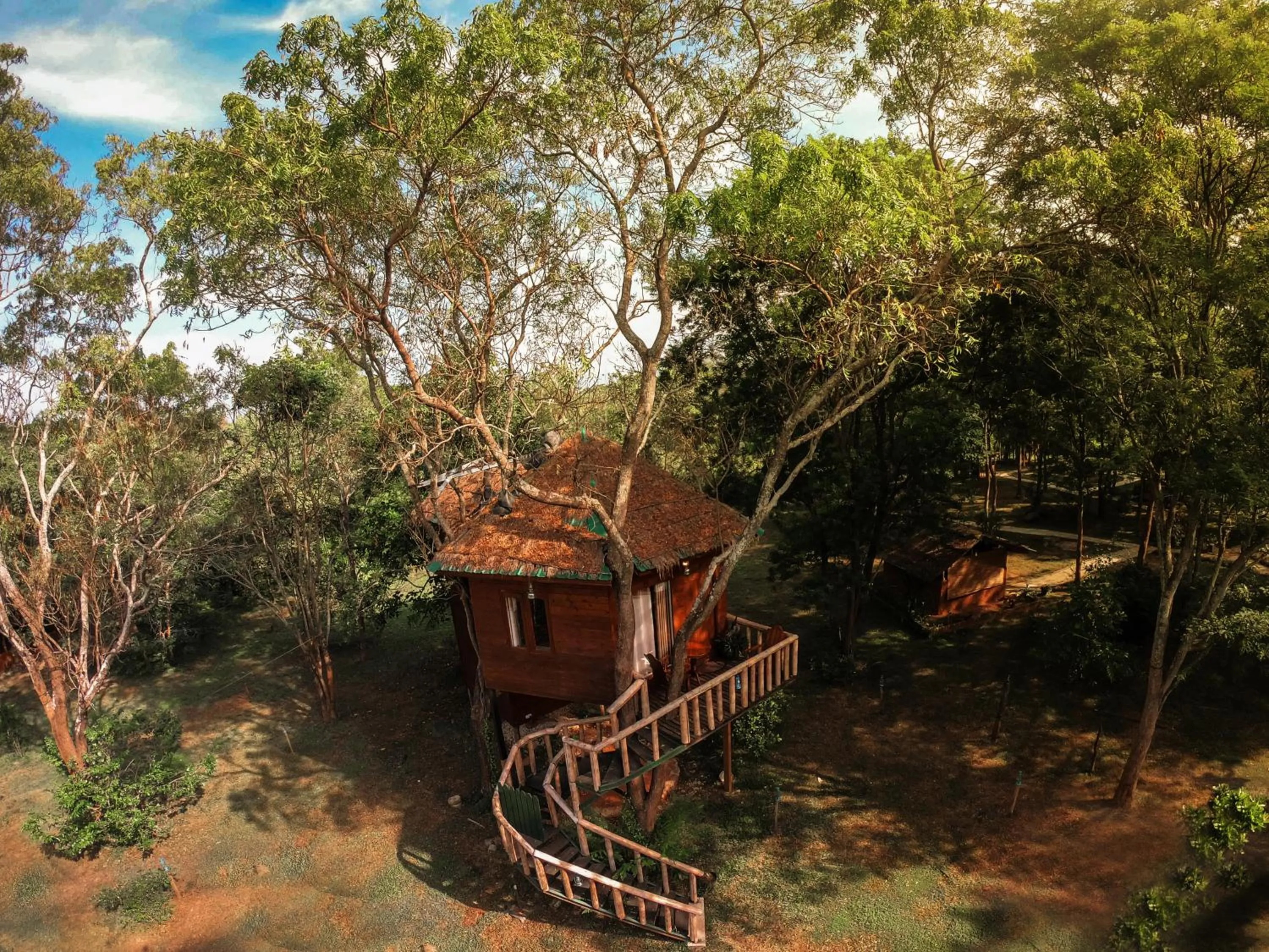 Garden in La Pentera