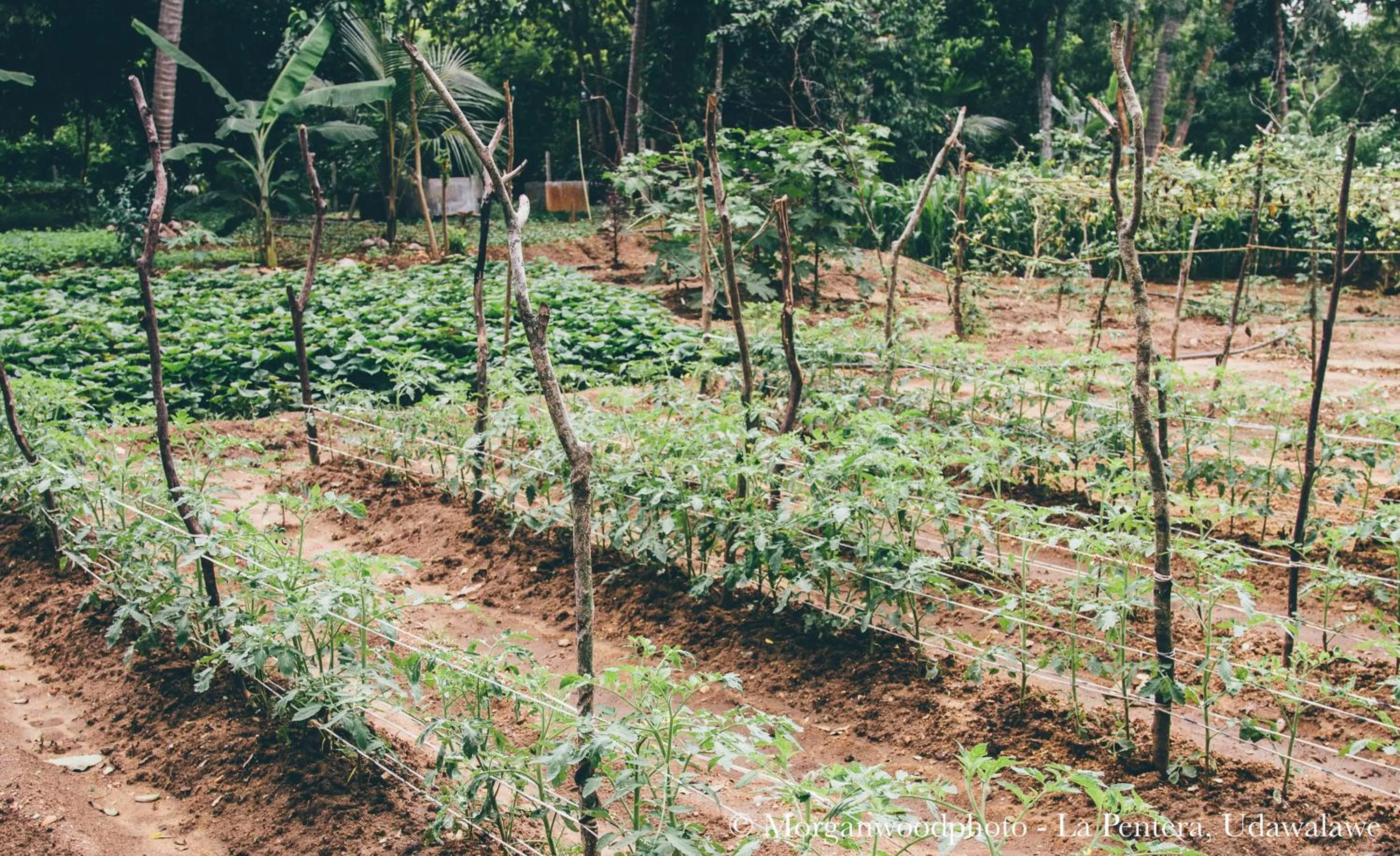 Nearby landmark in La Pentera