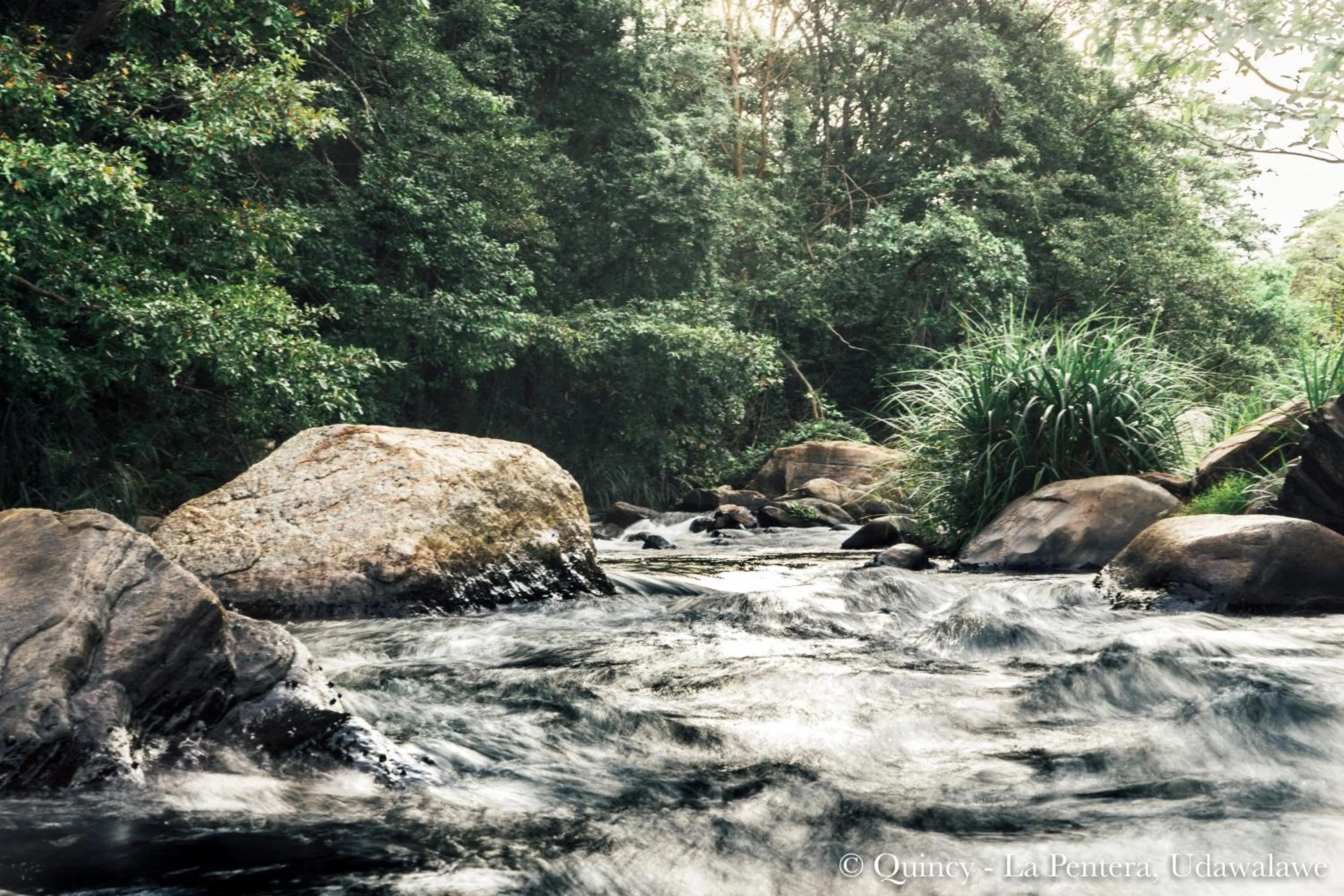 River view in La Pentera