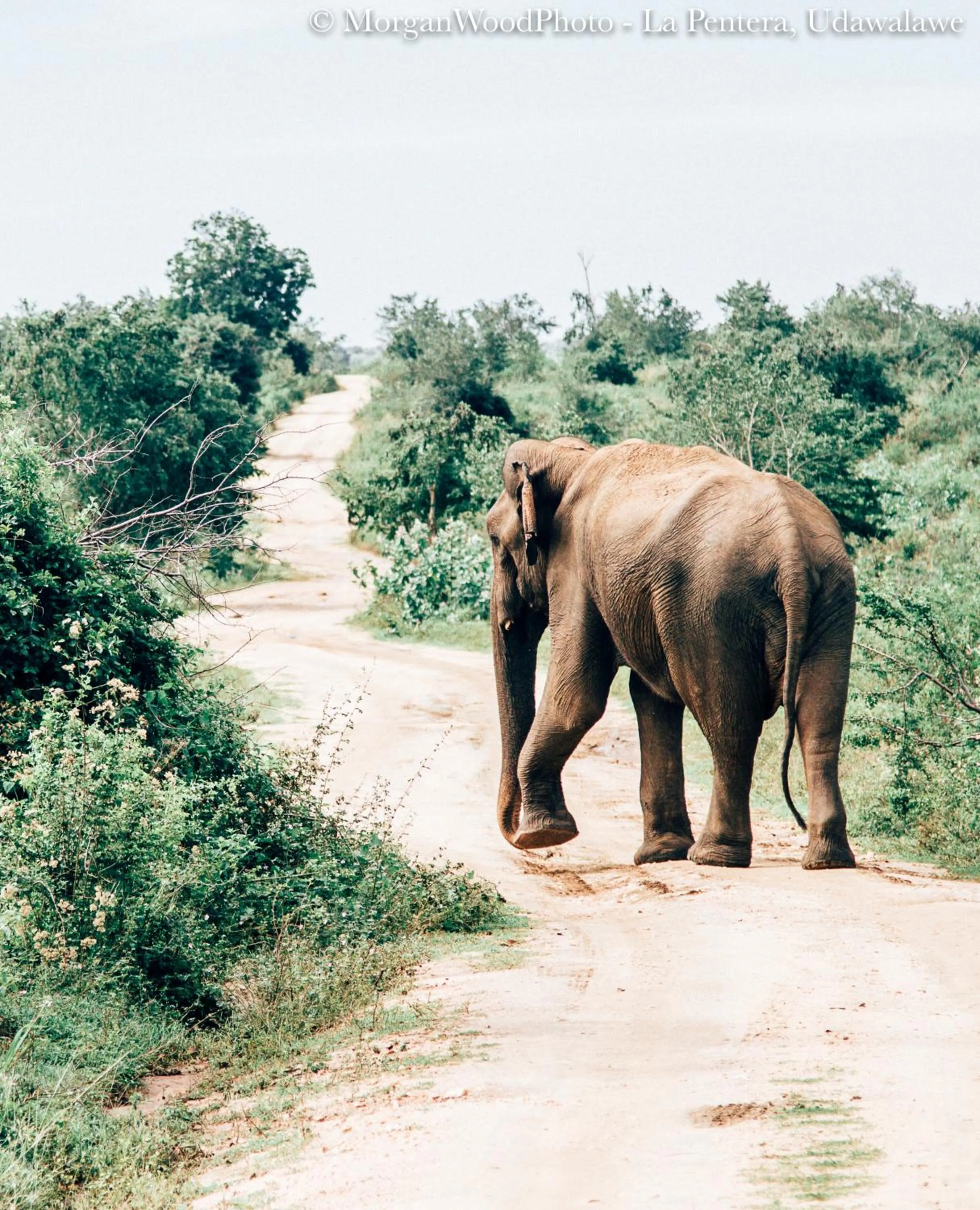 Nearby landmark in La Pentera