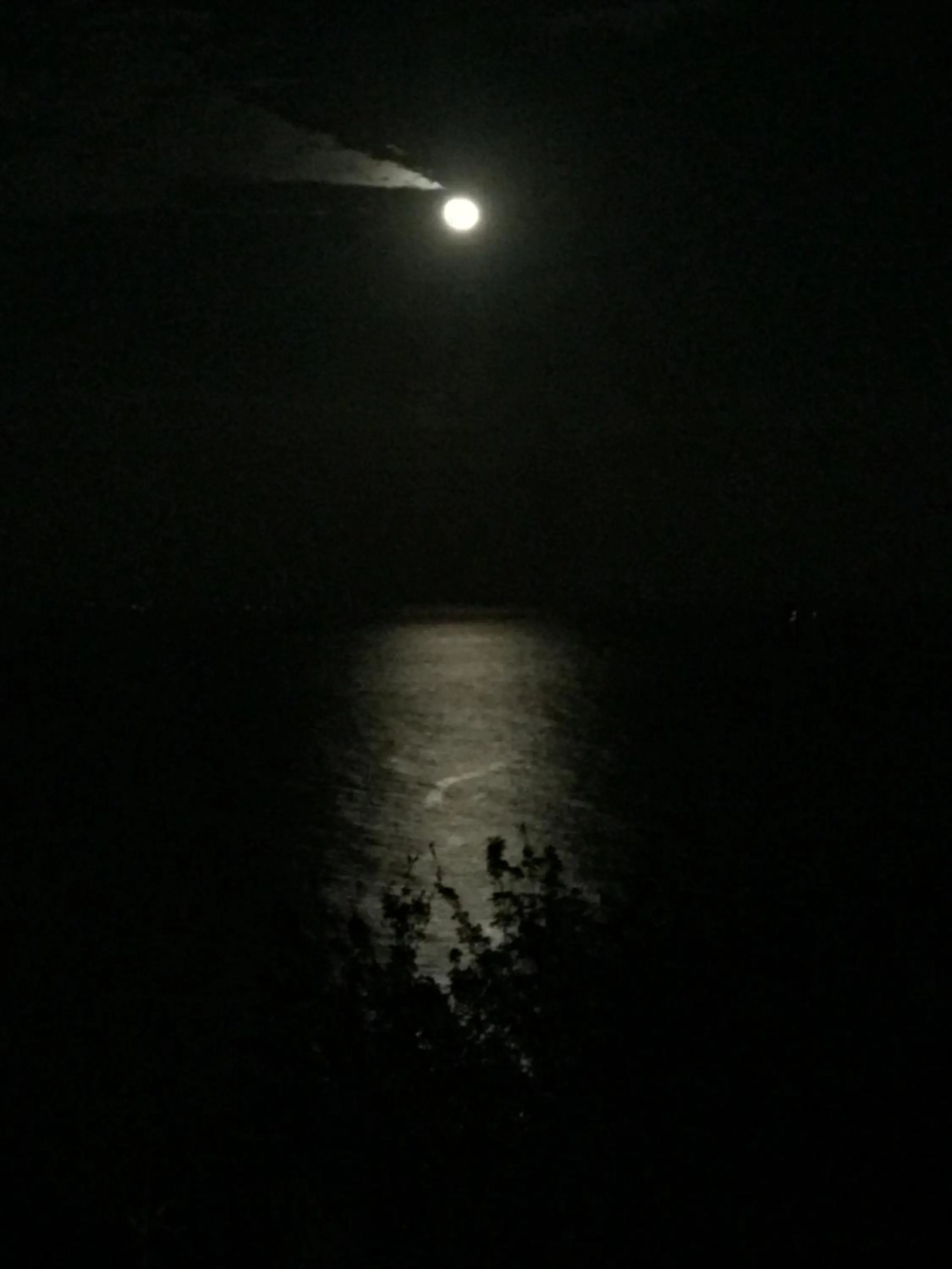 Neighbourhood in JOYinn