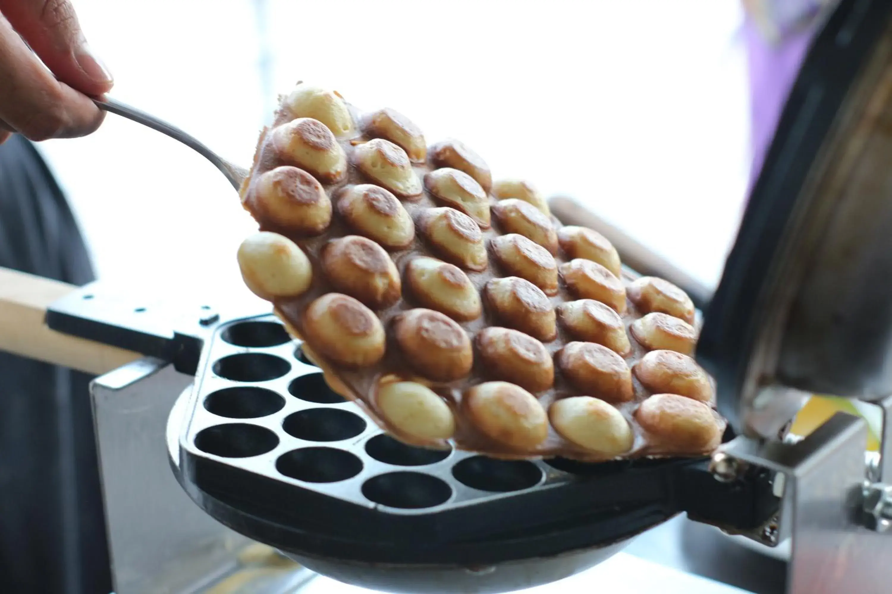 Food in Forbis Hotel Food in Forbis Hotel