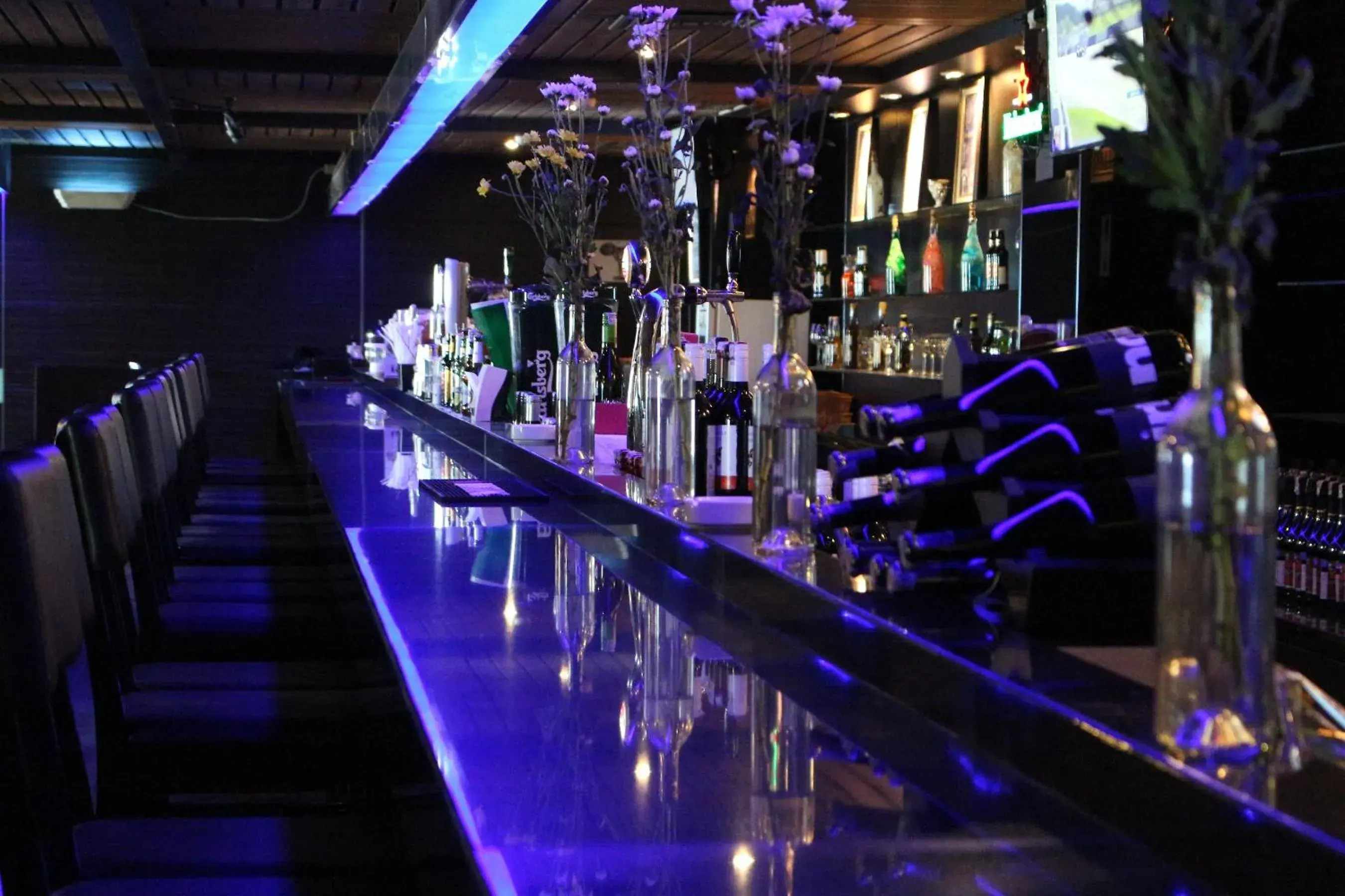 Lounge or bar in Forbis Hotel Lounge or bar in Forbis Hotel