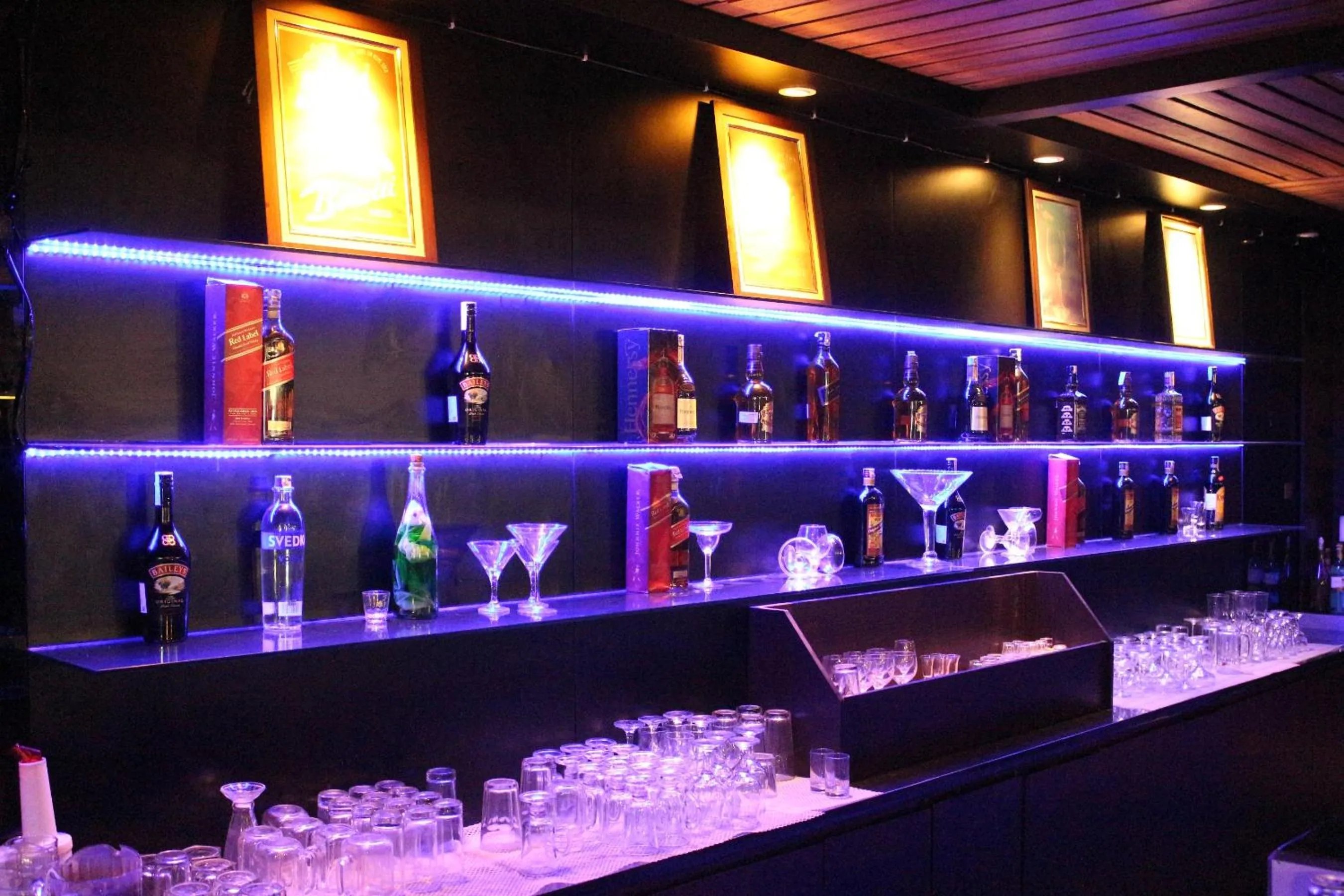 Lounge or bar in Forbis Hotel