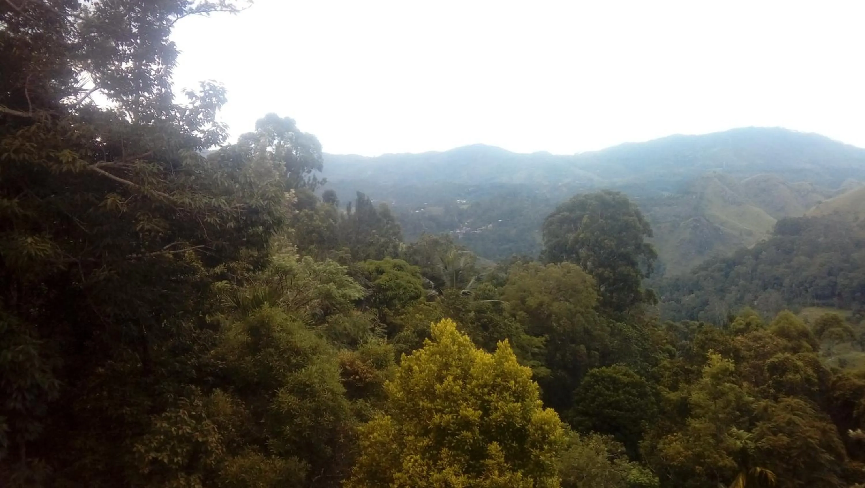 Natural landscape in Daban Homestay Ella