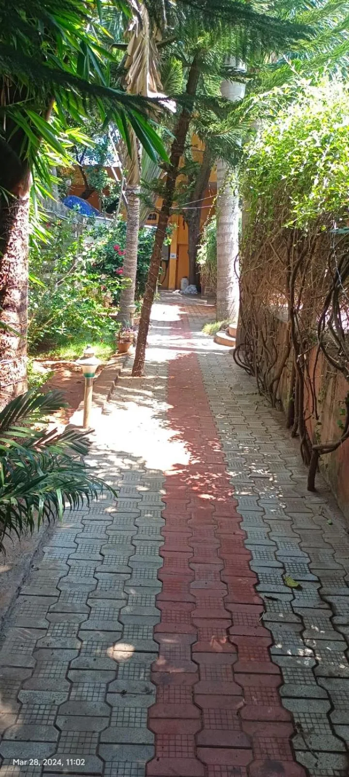 Garden view in Auro Resort