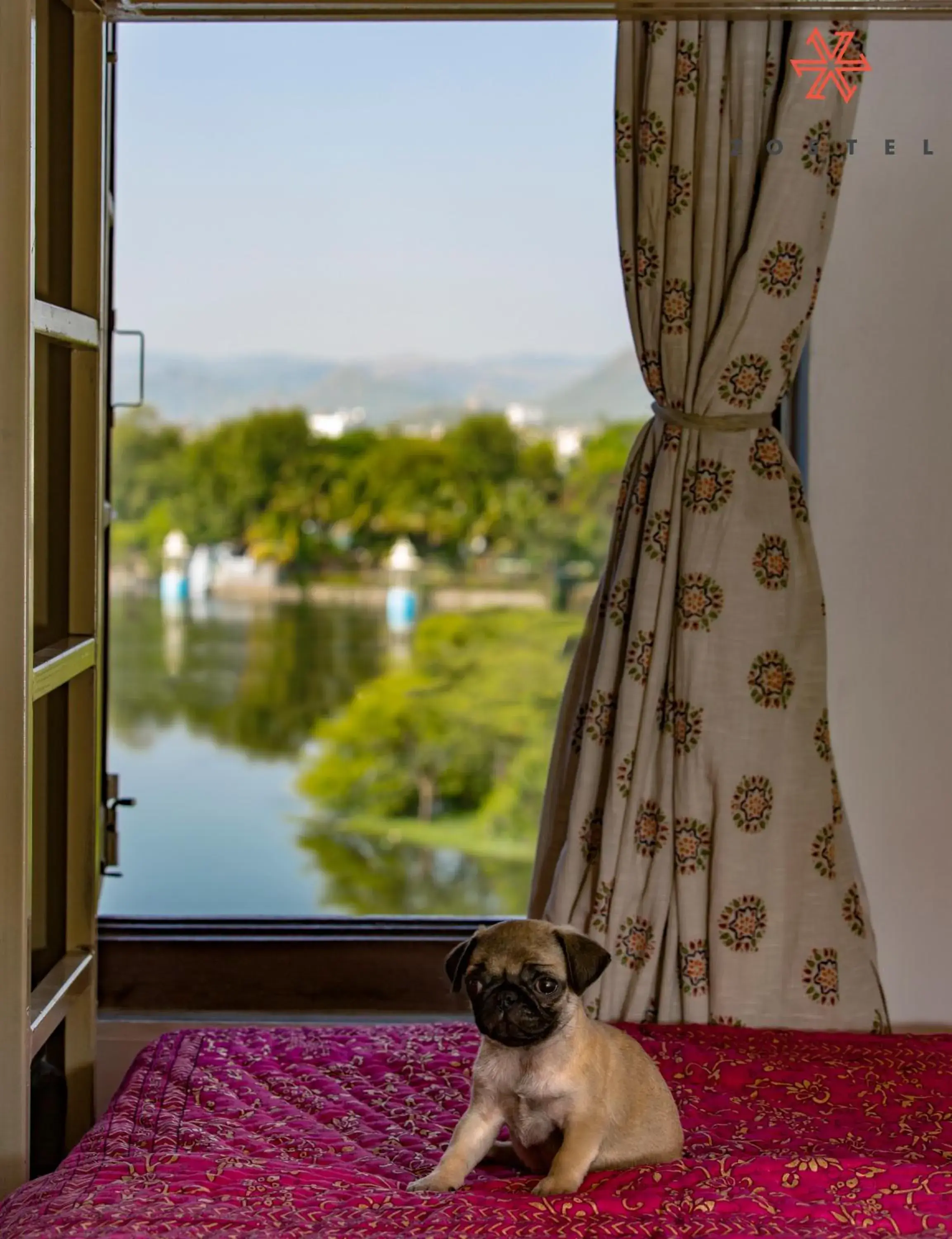 Lake view in Zostel Udaipur Lake view in Zostel Udaipur