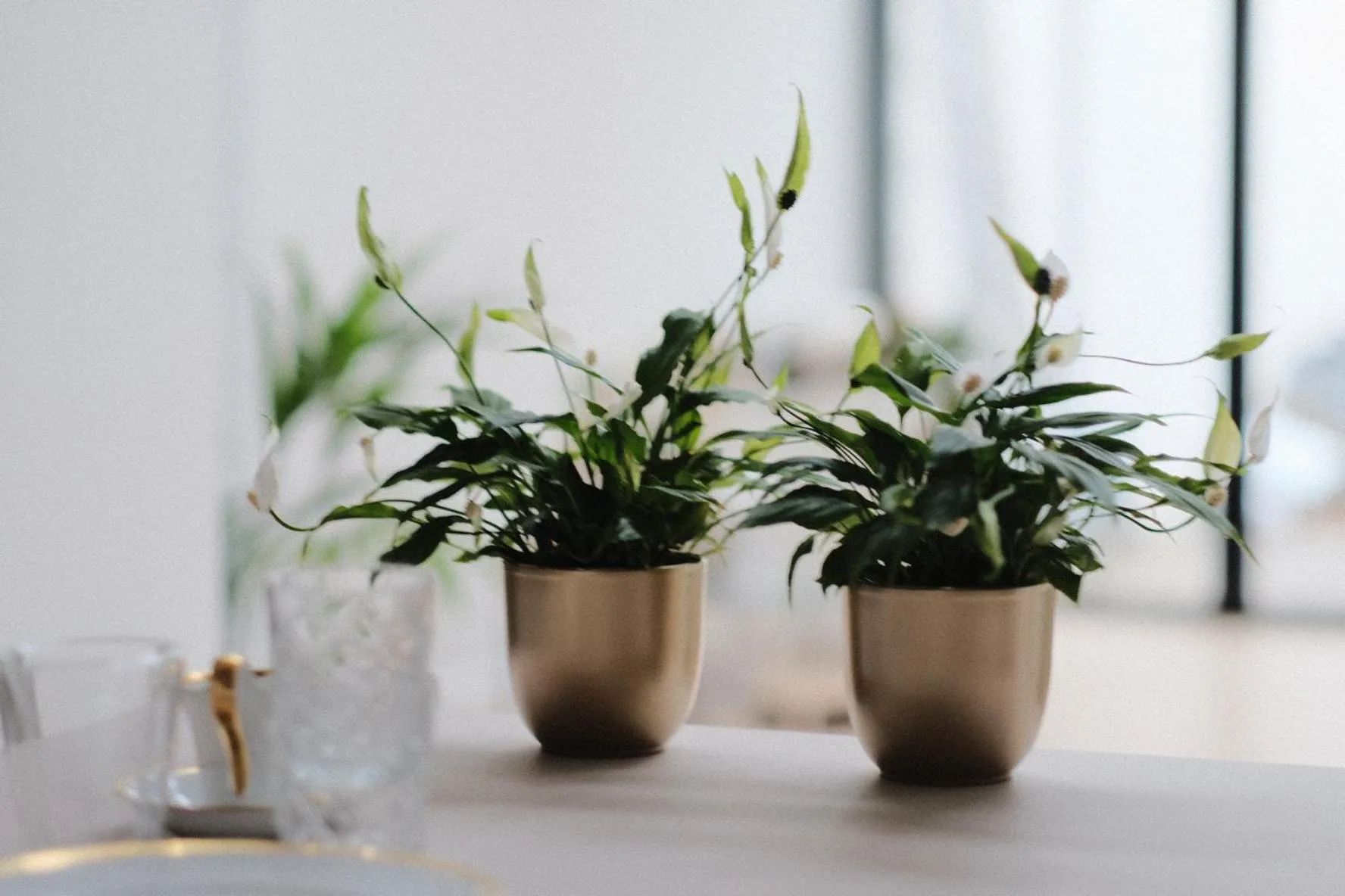 Property building in b&b les invités