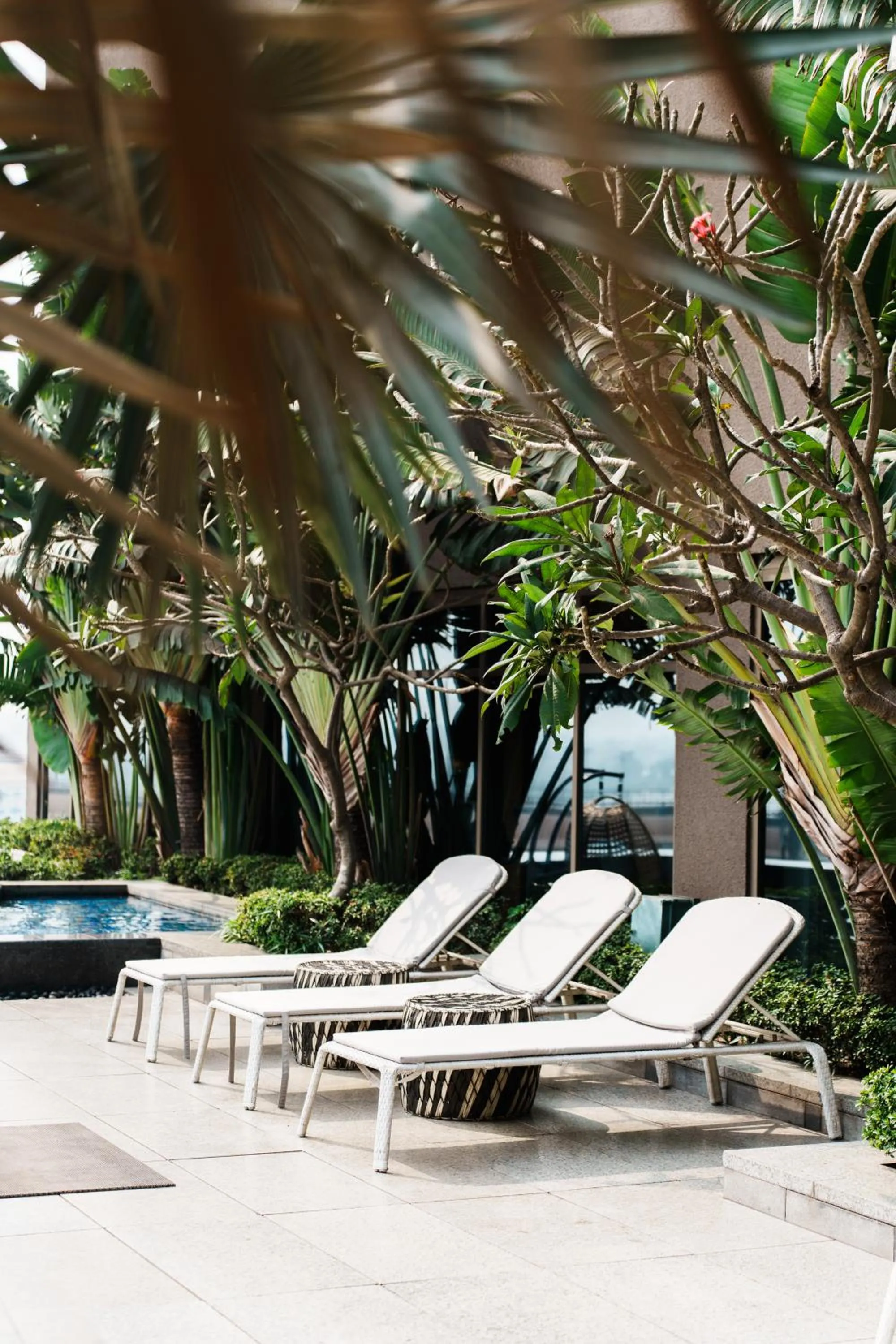 Pool view in JW Marriott Hotel Kolkata