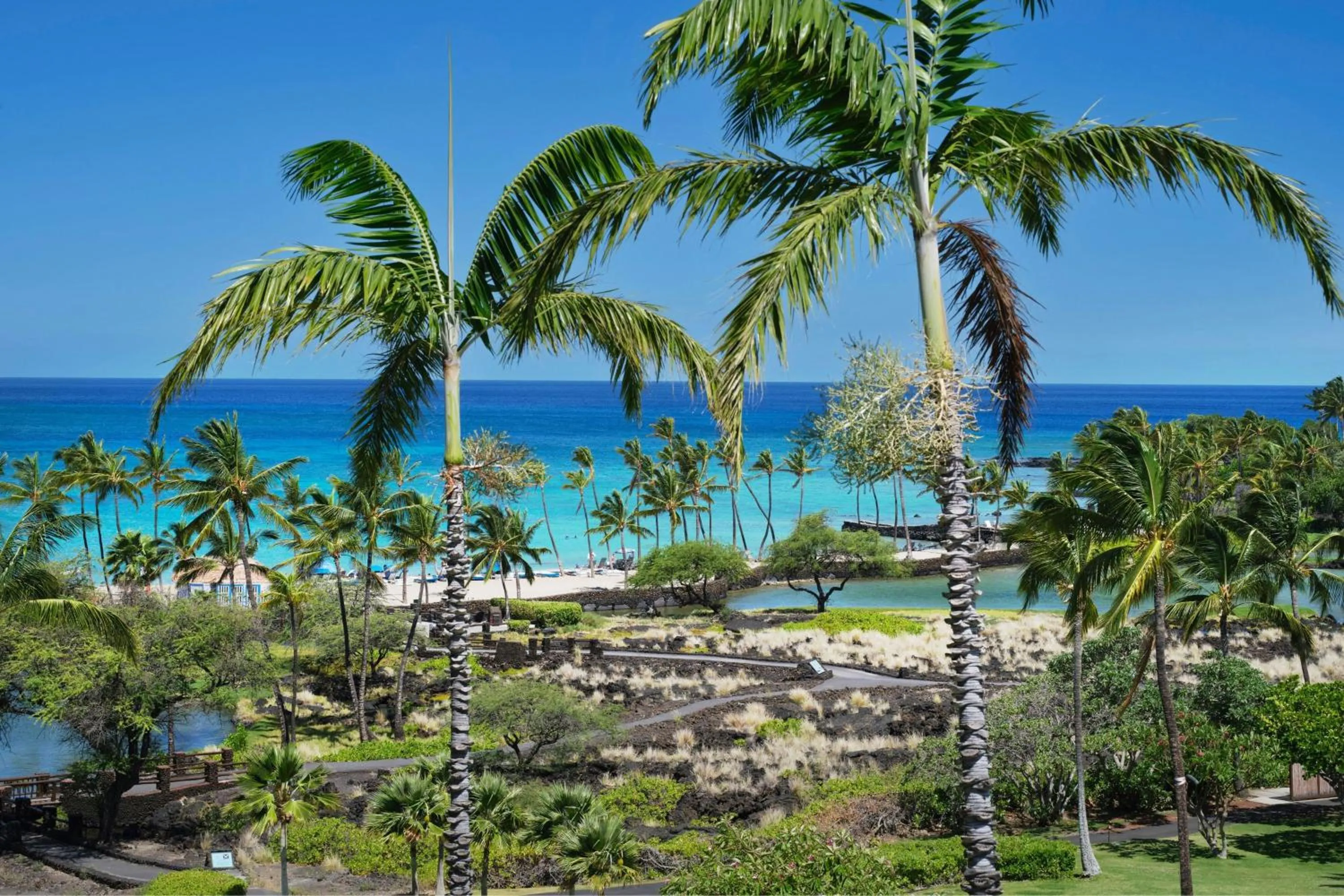 Photo of the whole room in Marriott’s Waikoloa Ocean Club