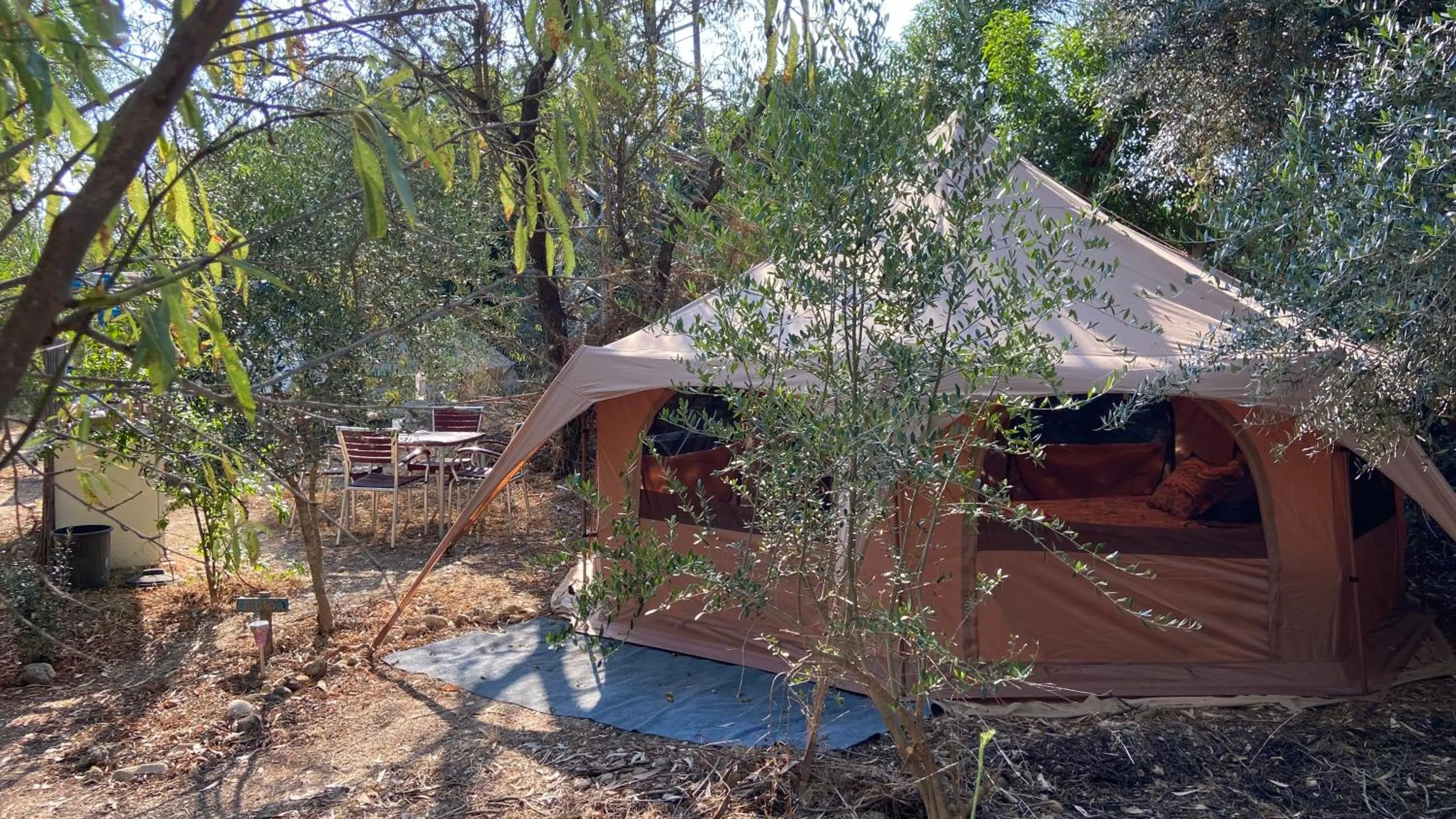 Garden in Finca Fahala