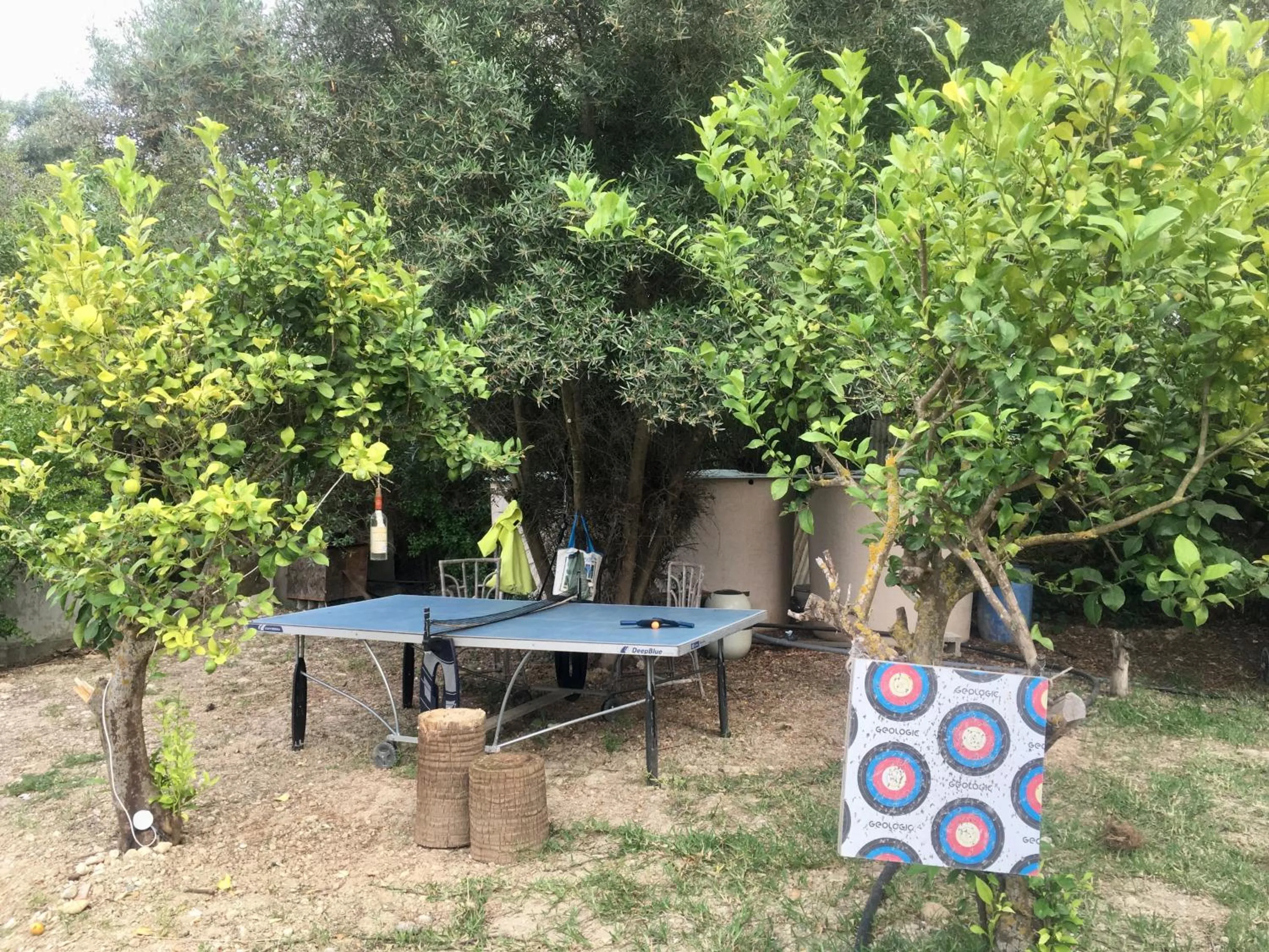 Garden in Finca Fahala