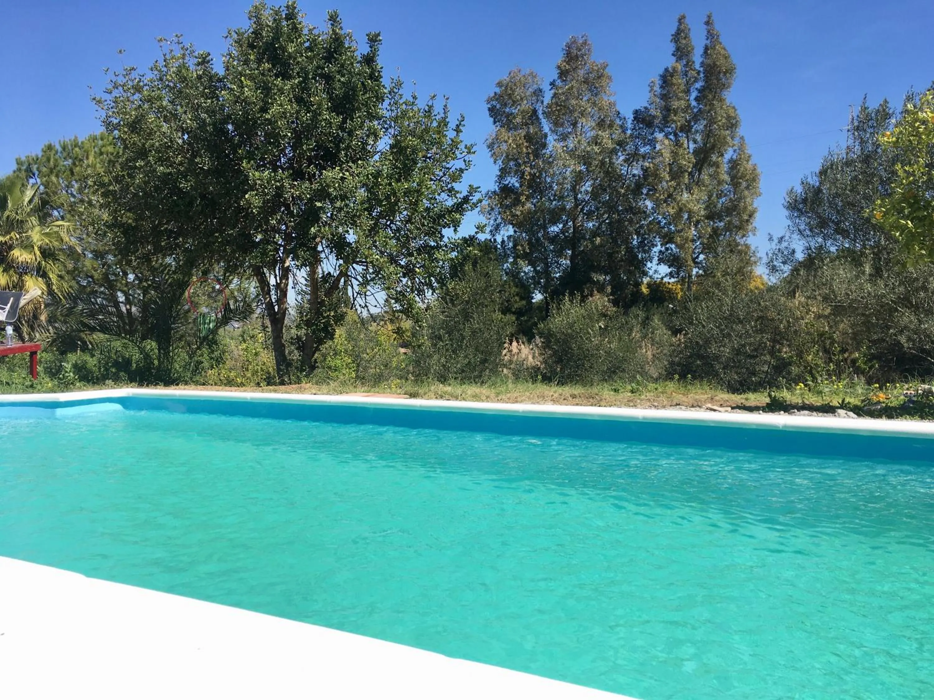 Swimming pool in Finca Fahala