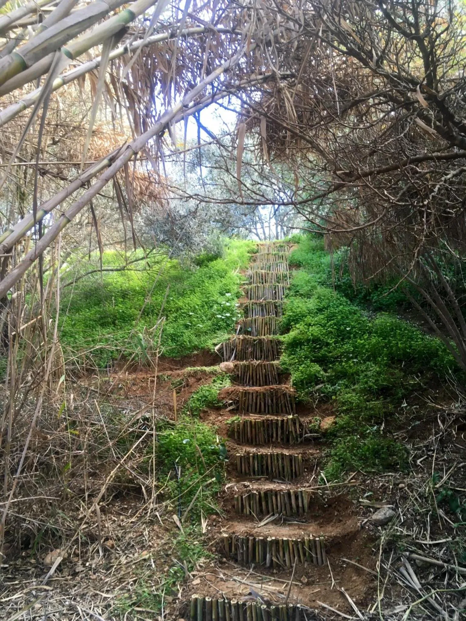 Natural landscape in Finca Fahala