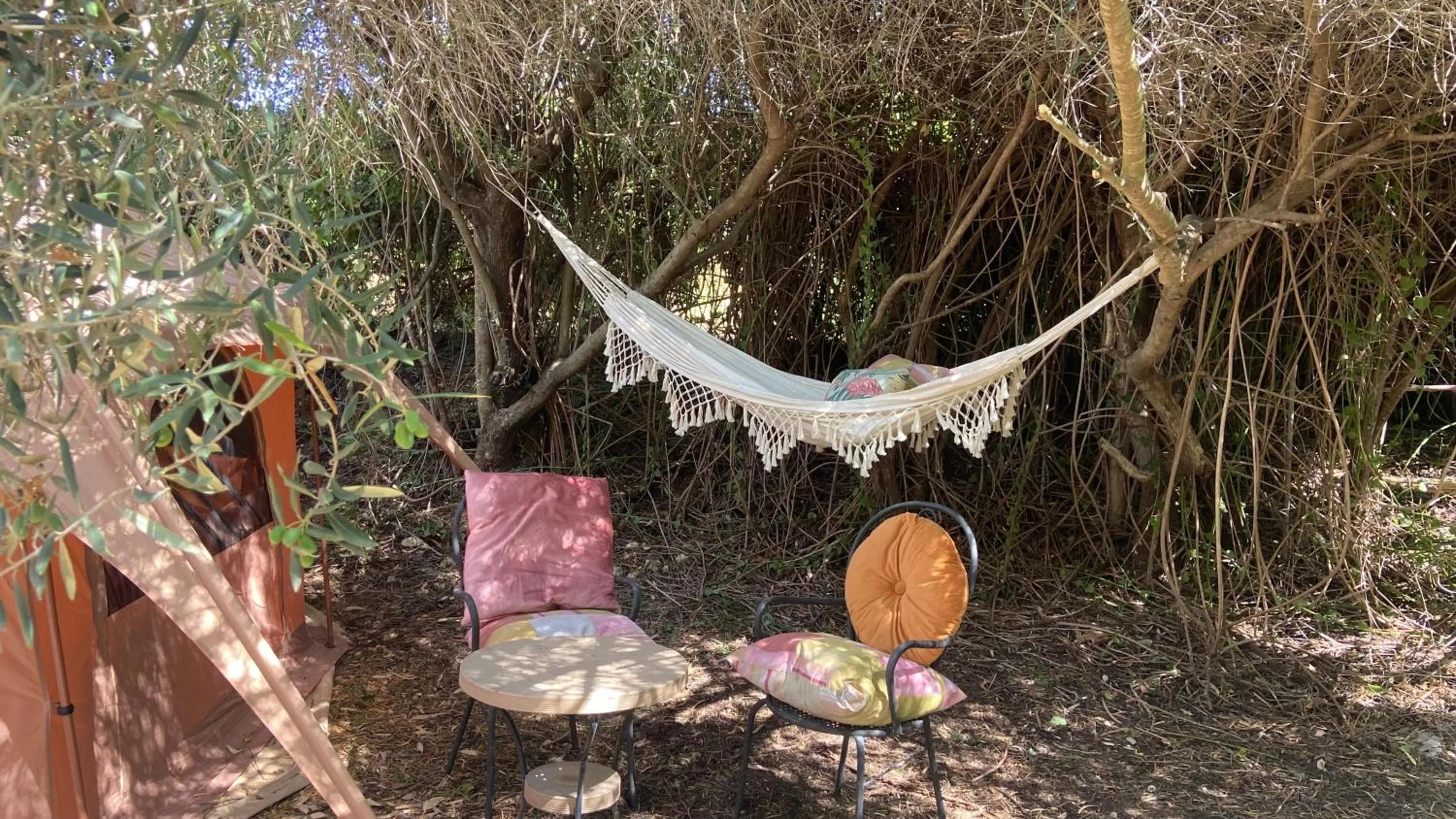 Garden in Finca Fahala