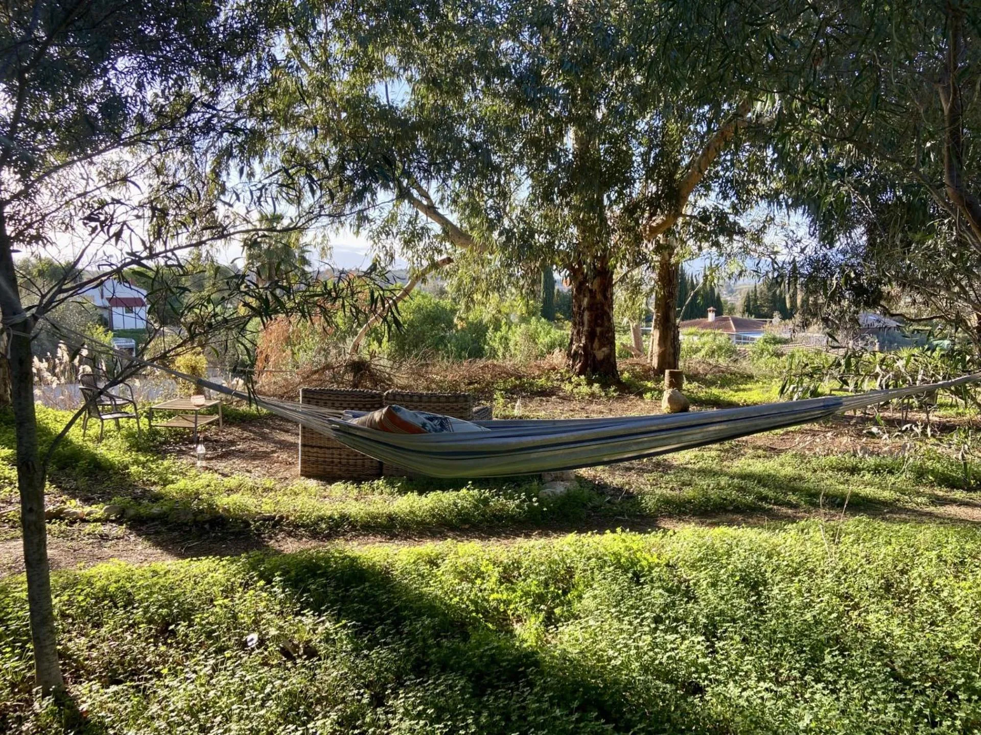 Garden in Finca Fahala