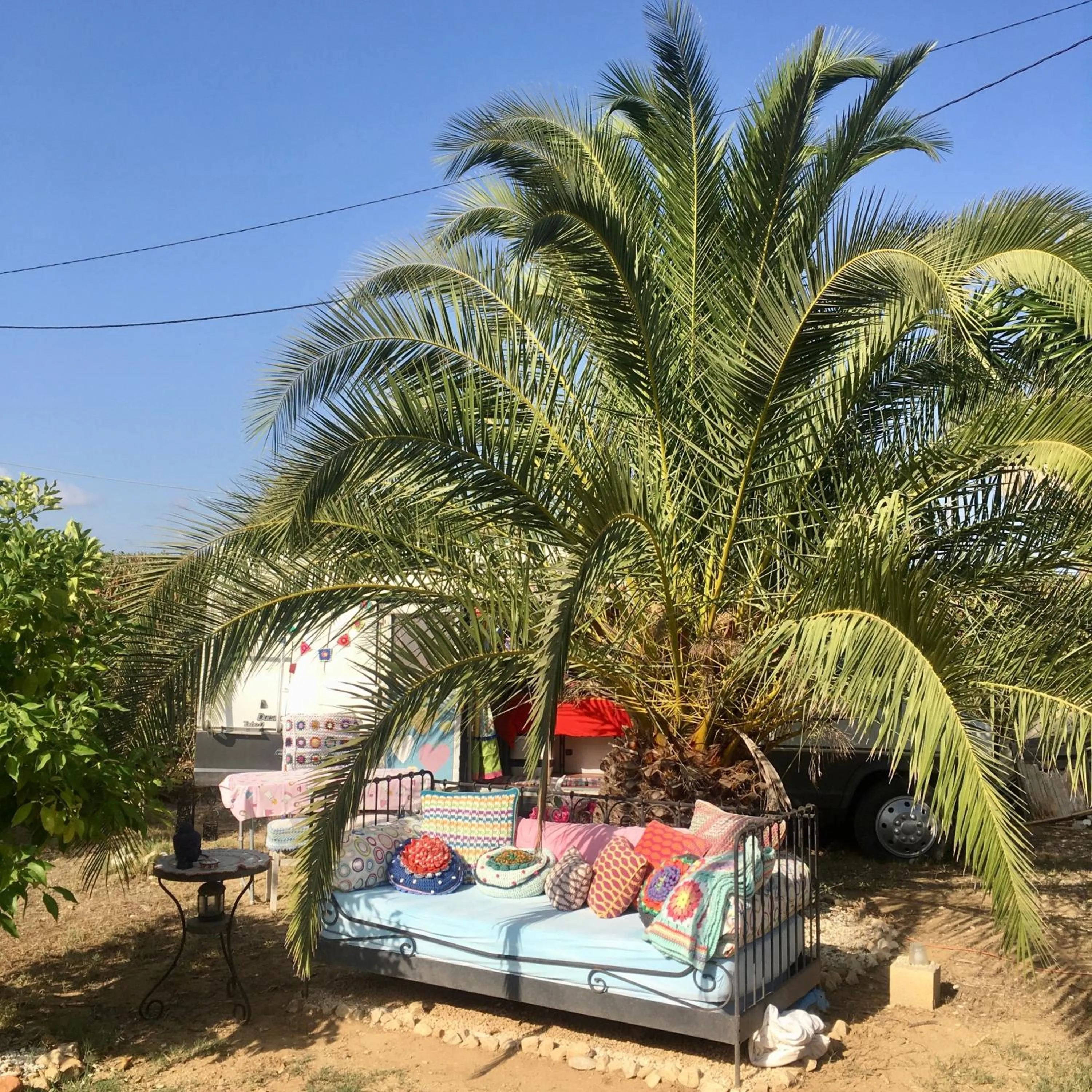 Garden in Finca Fahala