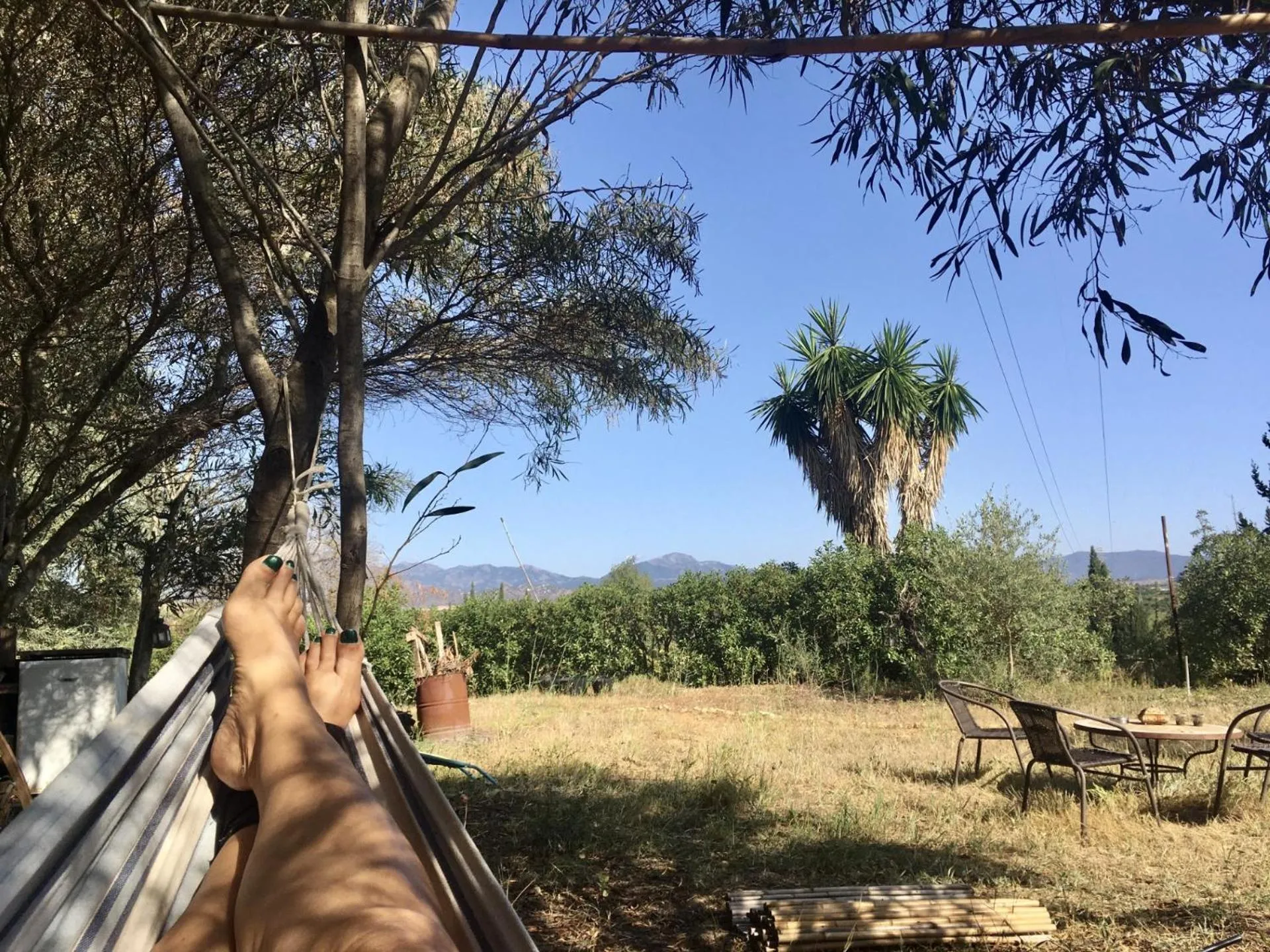 View (from property/room) in Finca Fahala