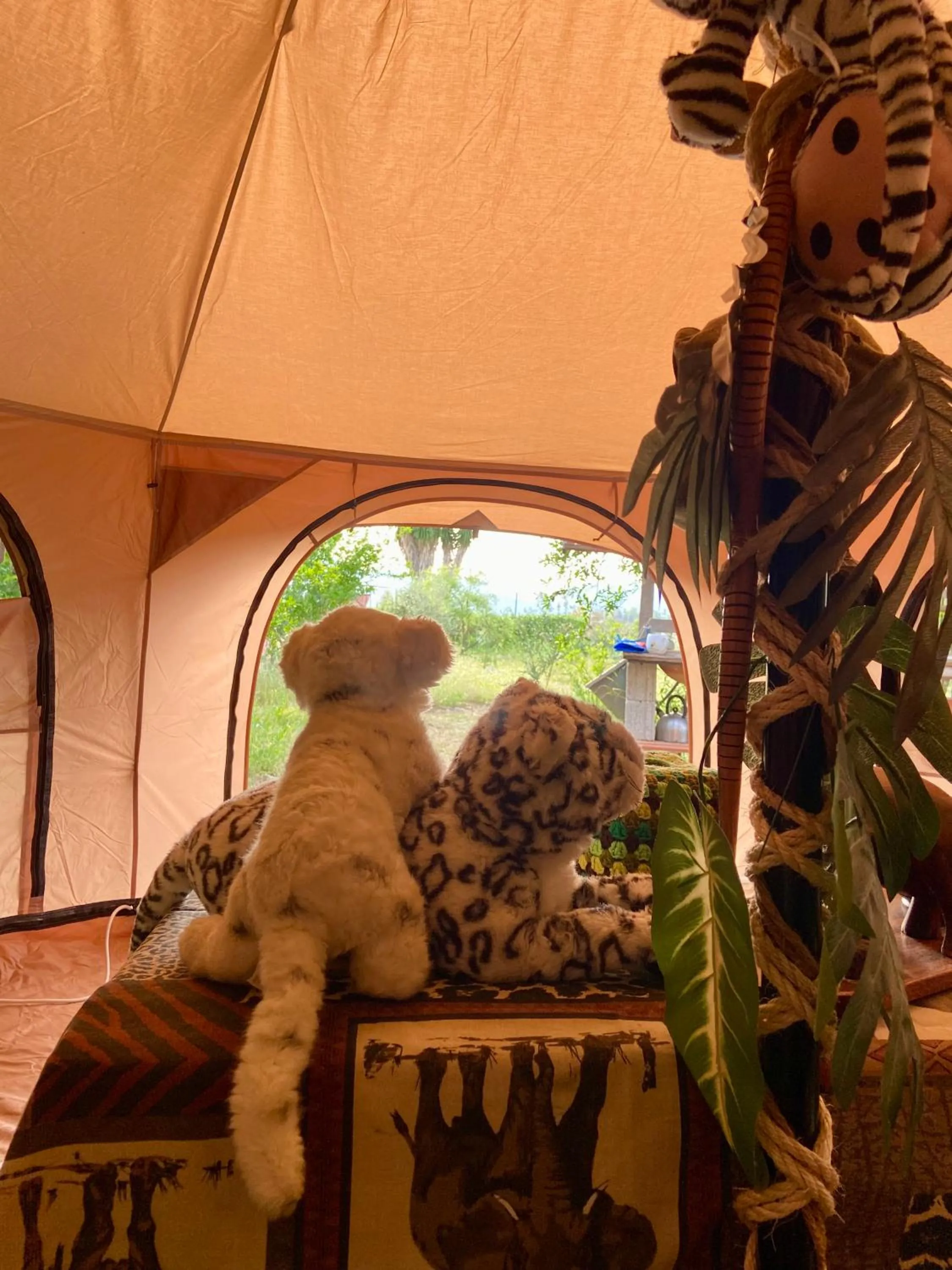Garden view in Finca Fahala