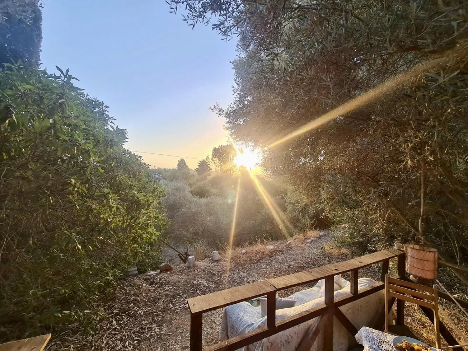 View (from property/room) in Finca Fahala
