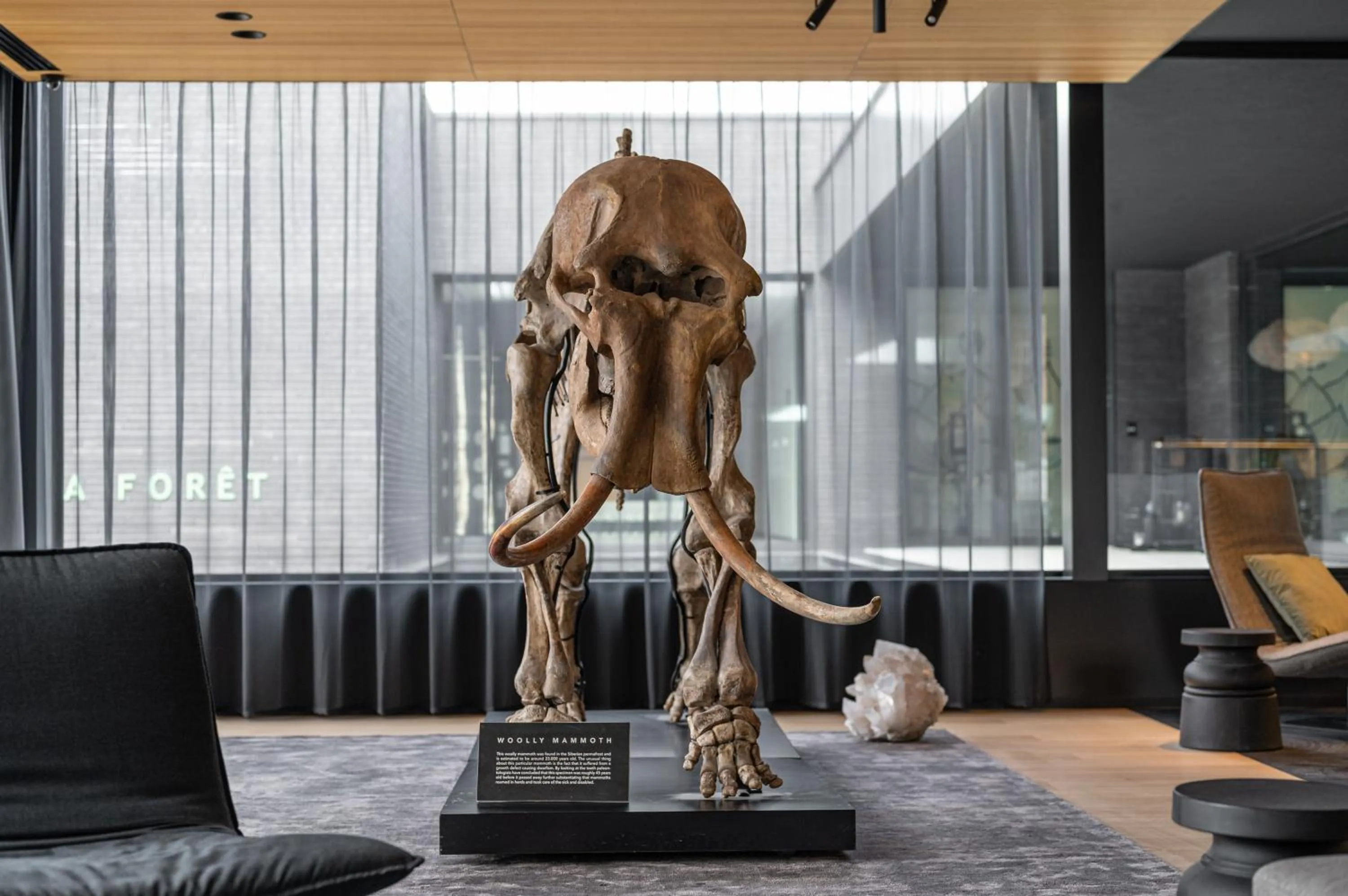 Lobby or reception in La Butte aux Bois a Small Luxury Hotel of the World