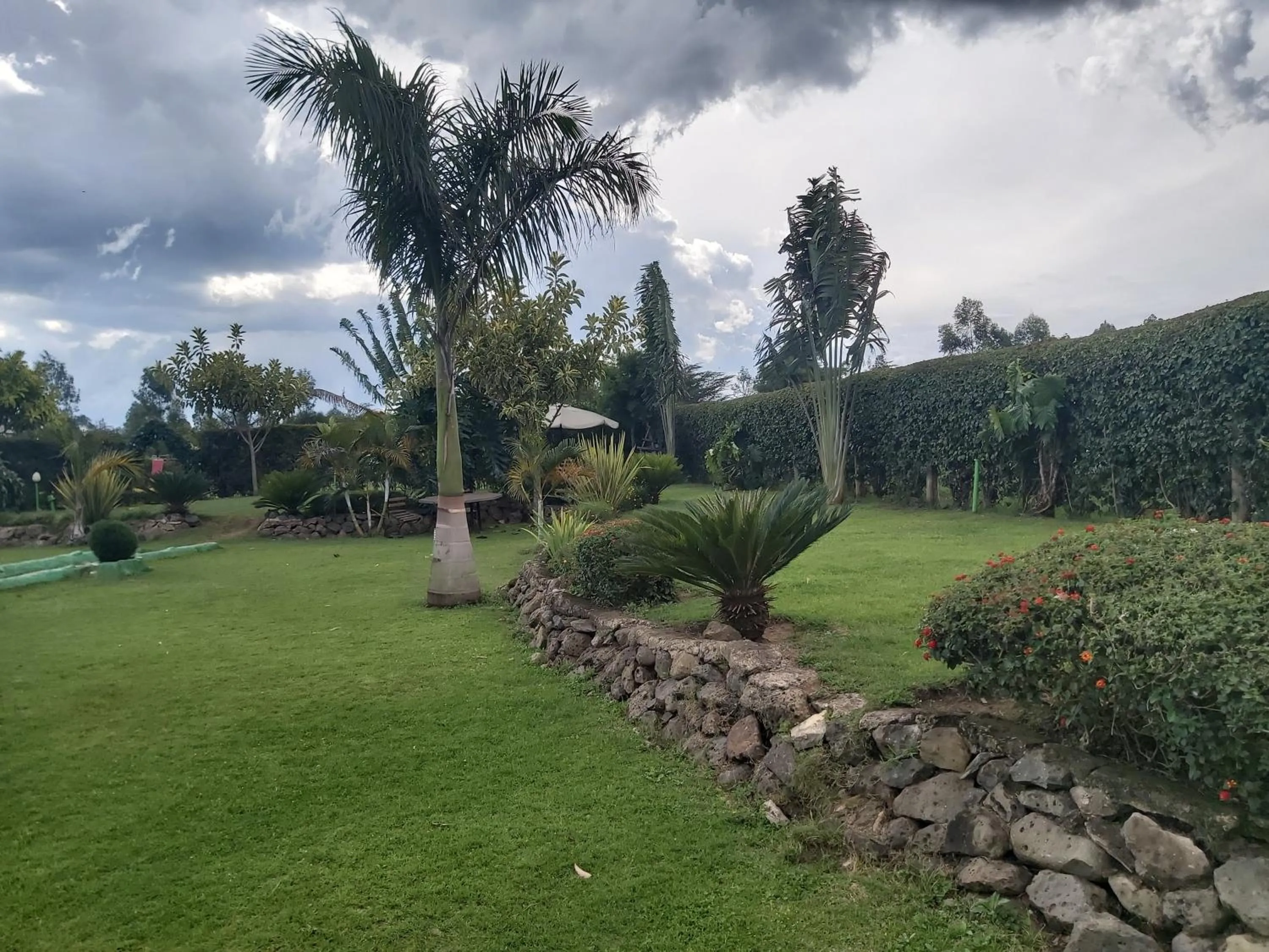 Garden in Sahara Gardens Bomet