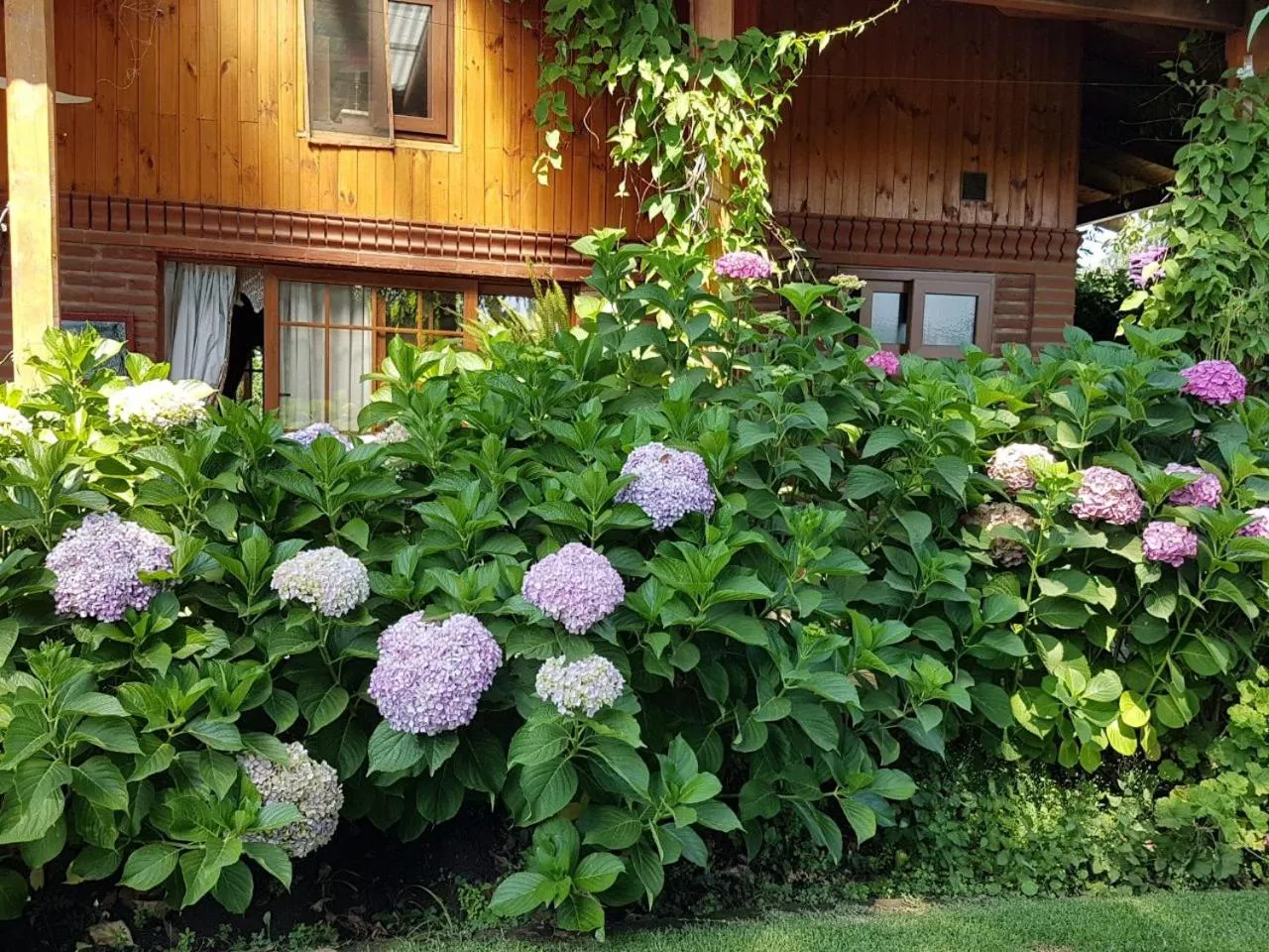 Sta. Marta B&B