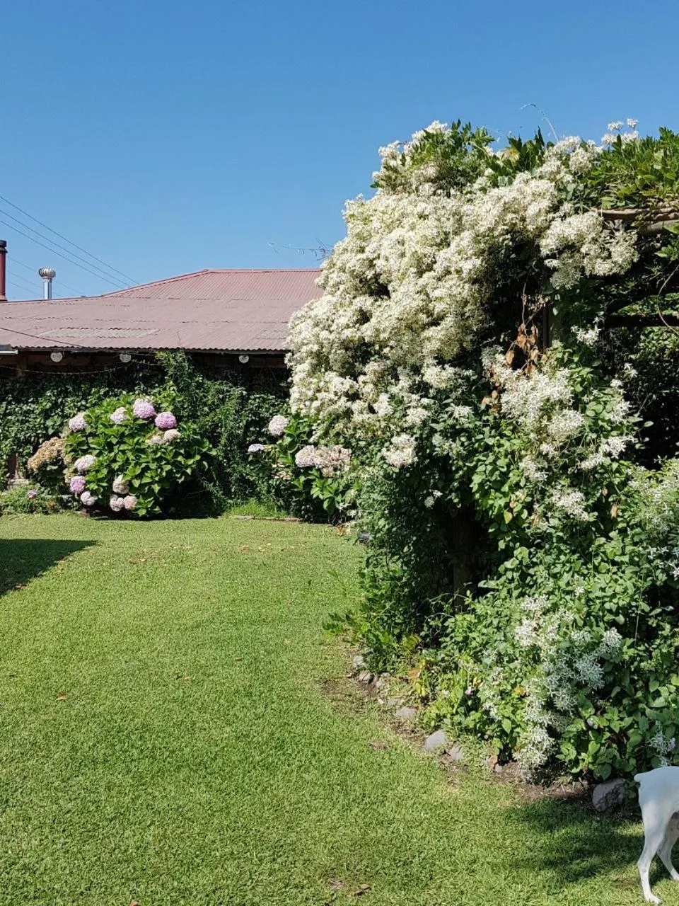 Sta. Marta B&B