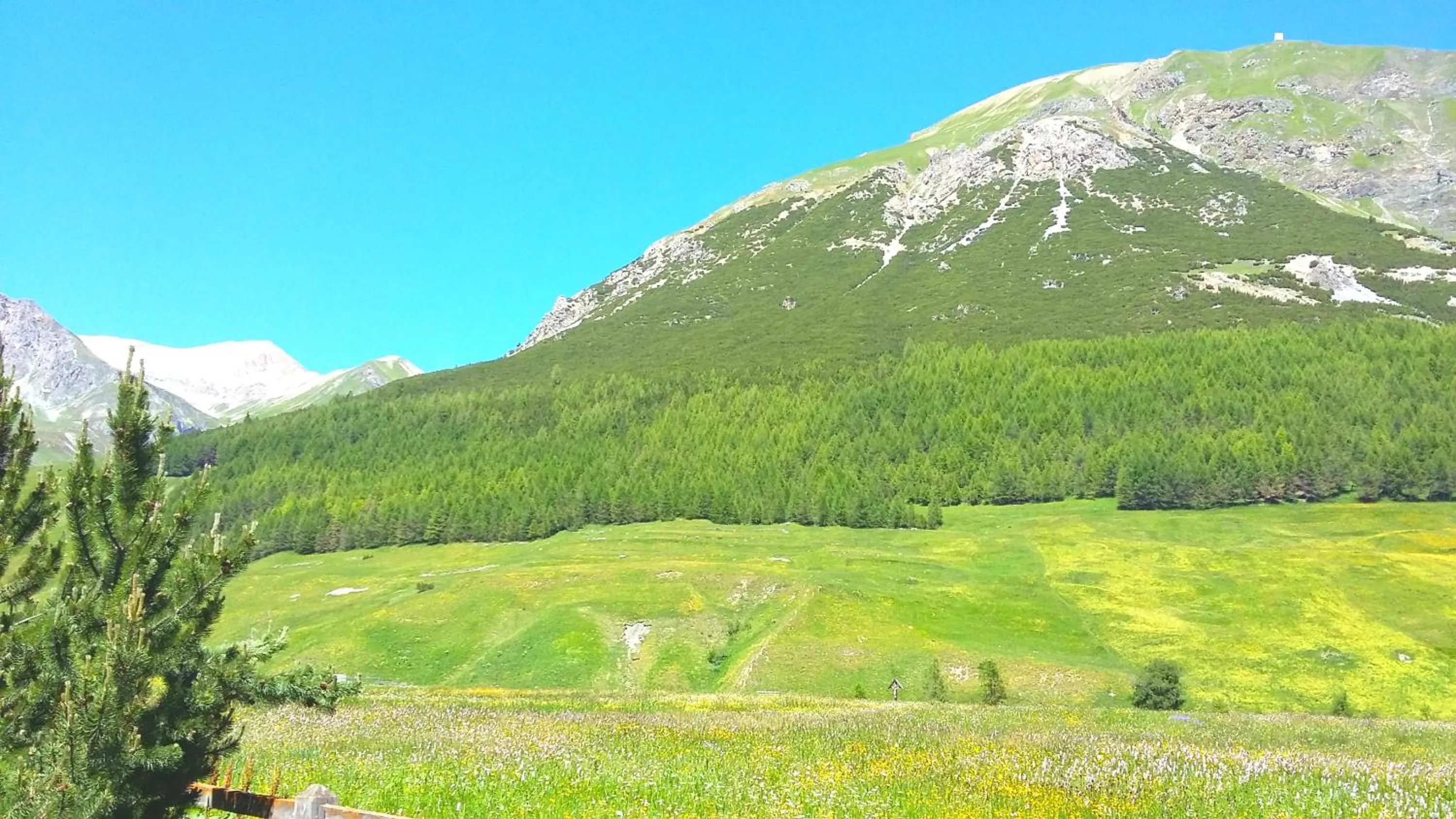 View (from property/room) in Residence Bait da Mott