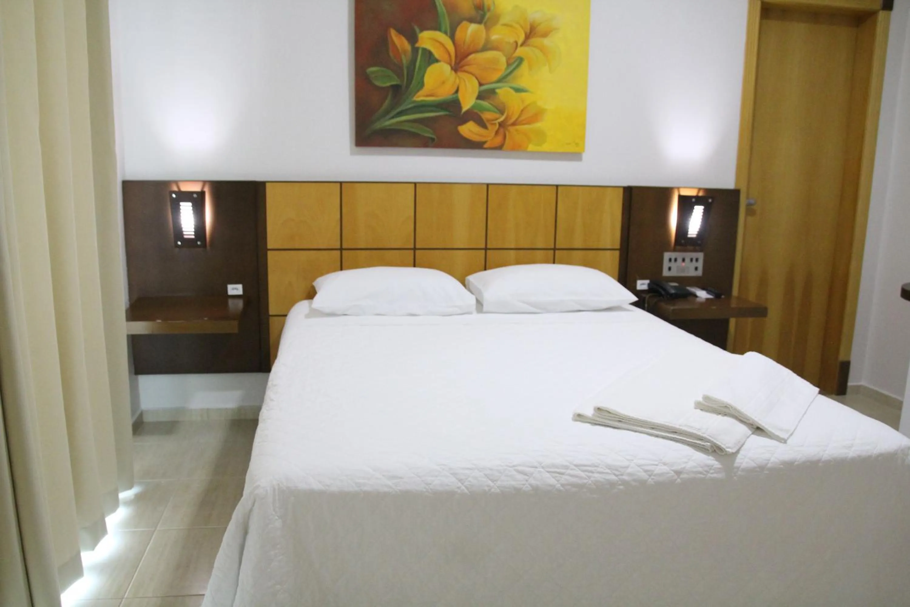 Deluxe One-Bedroom Apartment - single occupancy in Dois Vizinhos Palace Hotel