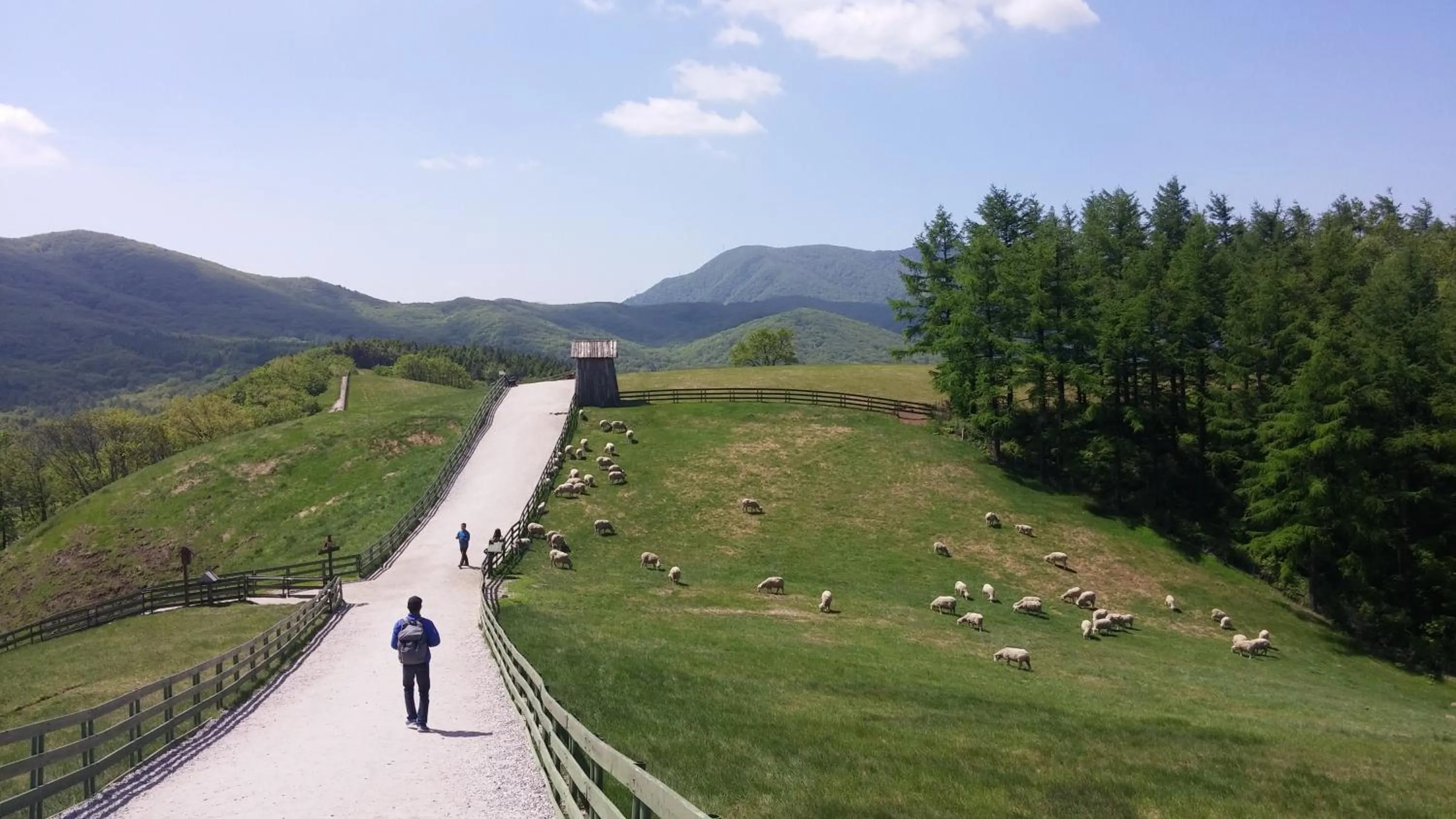 Soop and Soop Pension