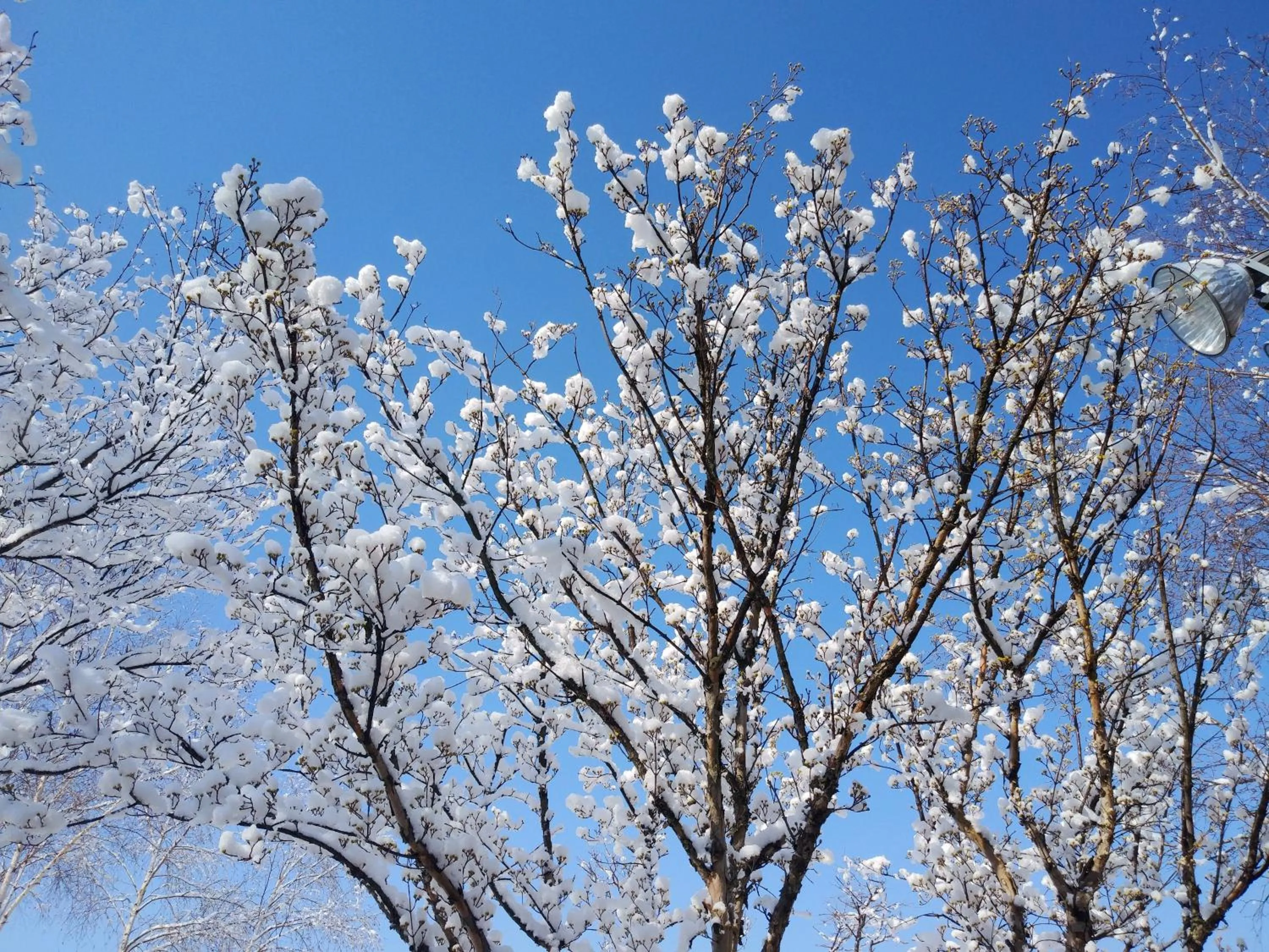 Day in Soop and Soop Pension