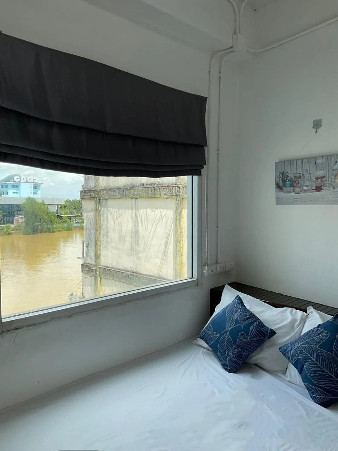 Bed in The Port Hostel