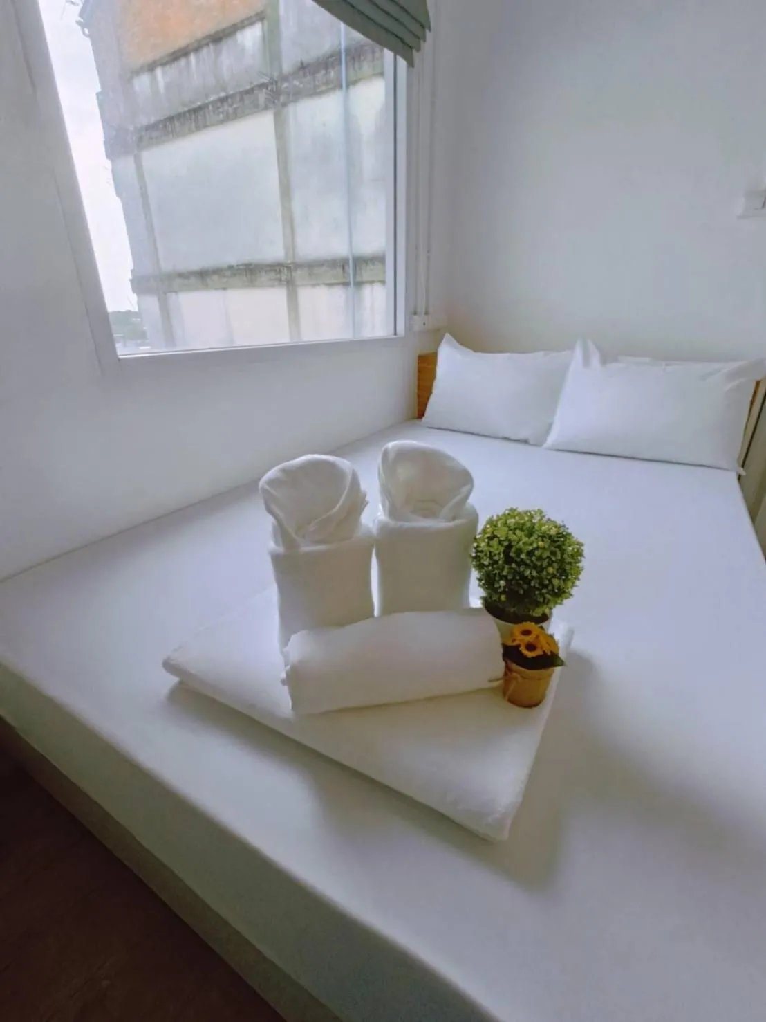 Bed in The Port Hostel