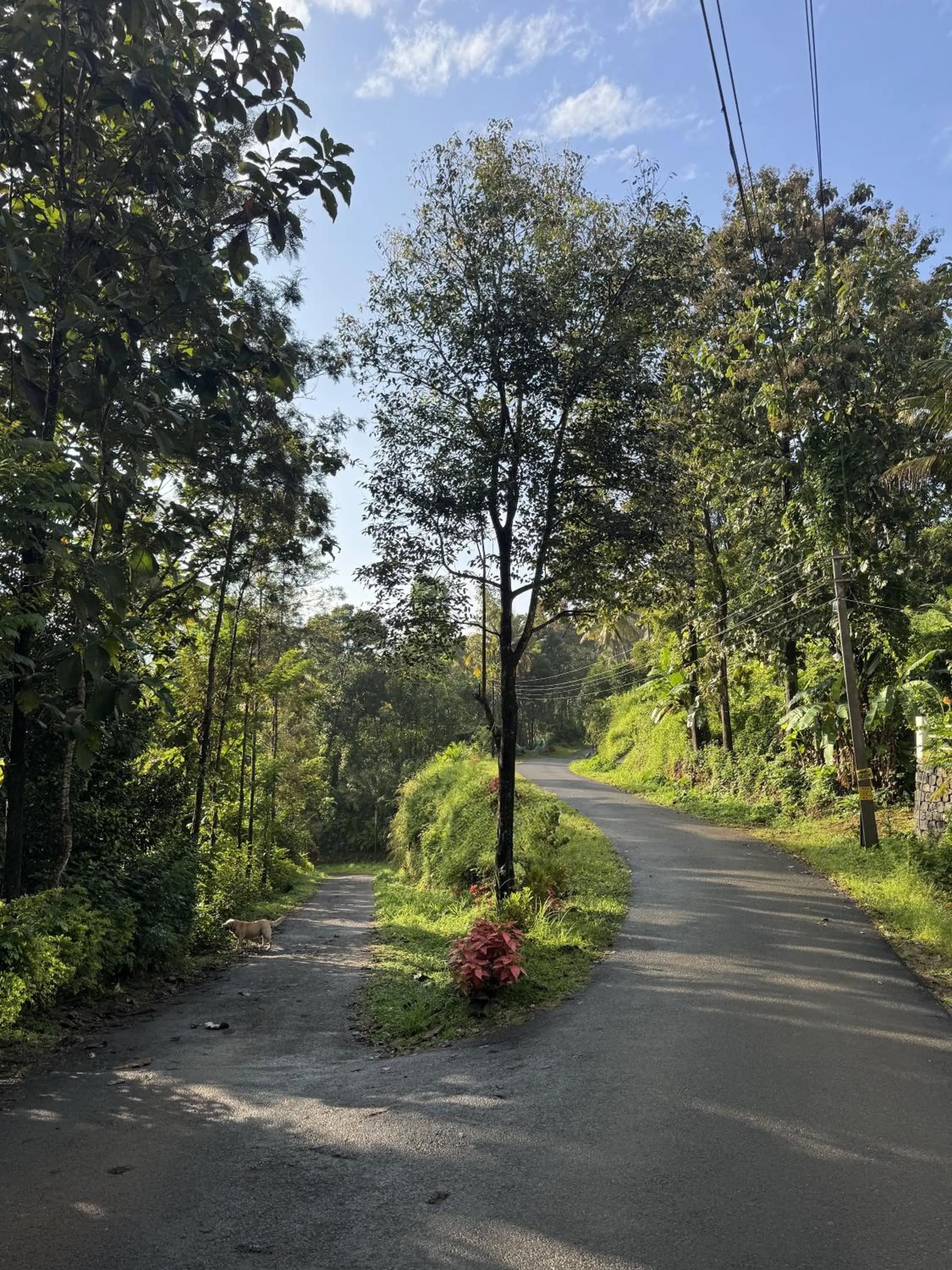 Thoppil Homestay Munnar