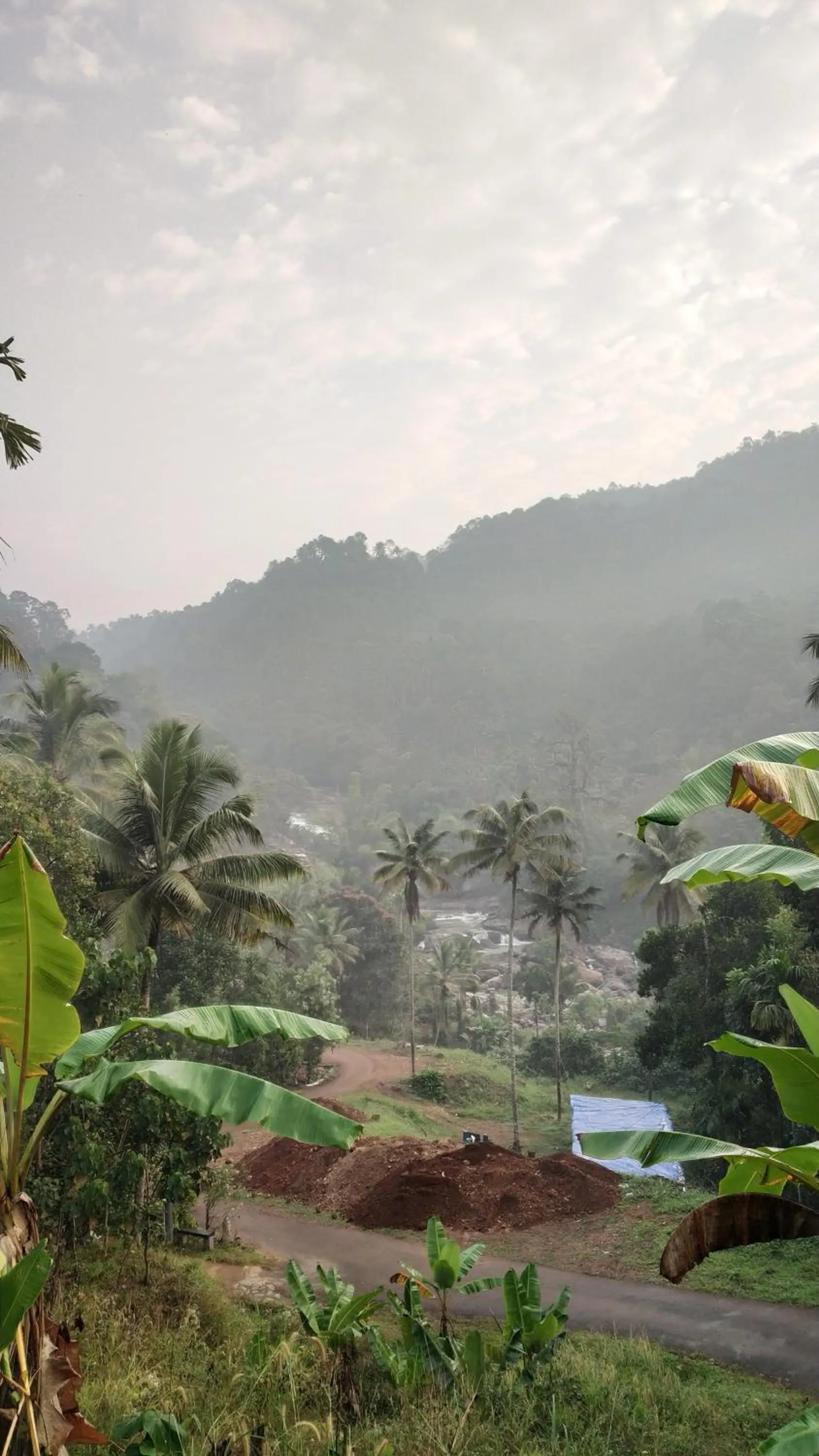 Thoppil Homestay Munnar