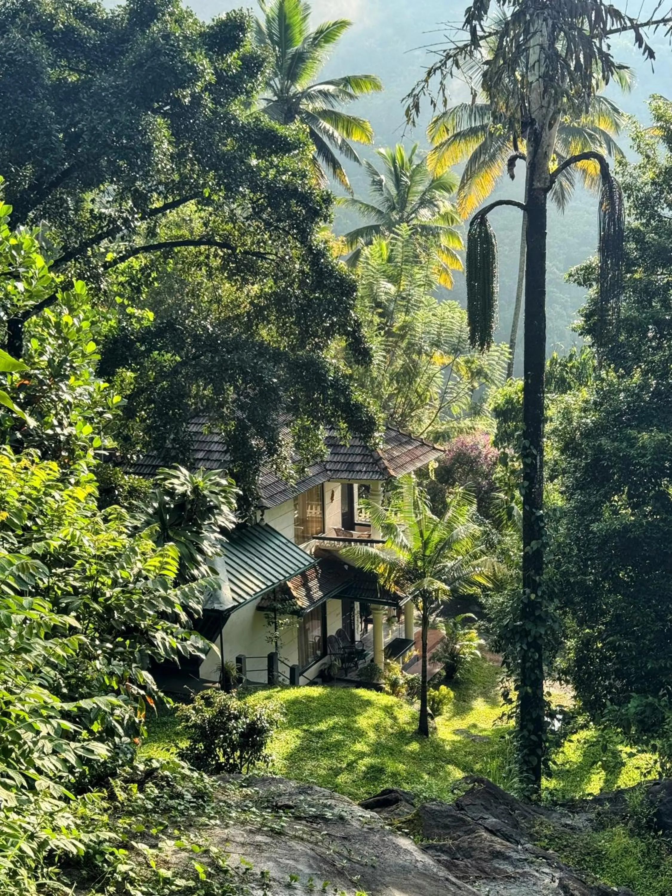 Thoppil Homestay Munnar