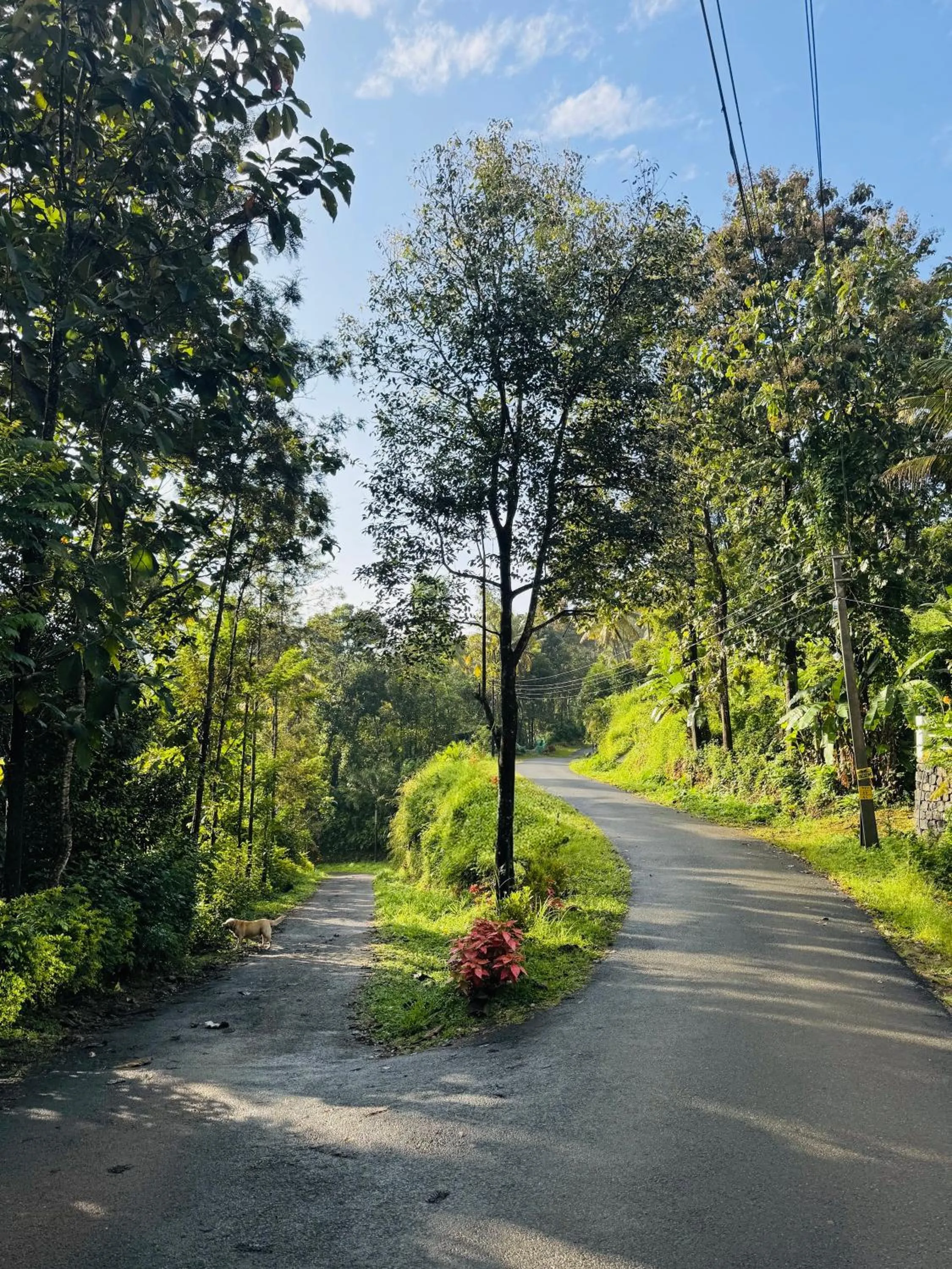 Thoppil Homestay Munnar