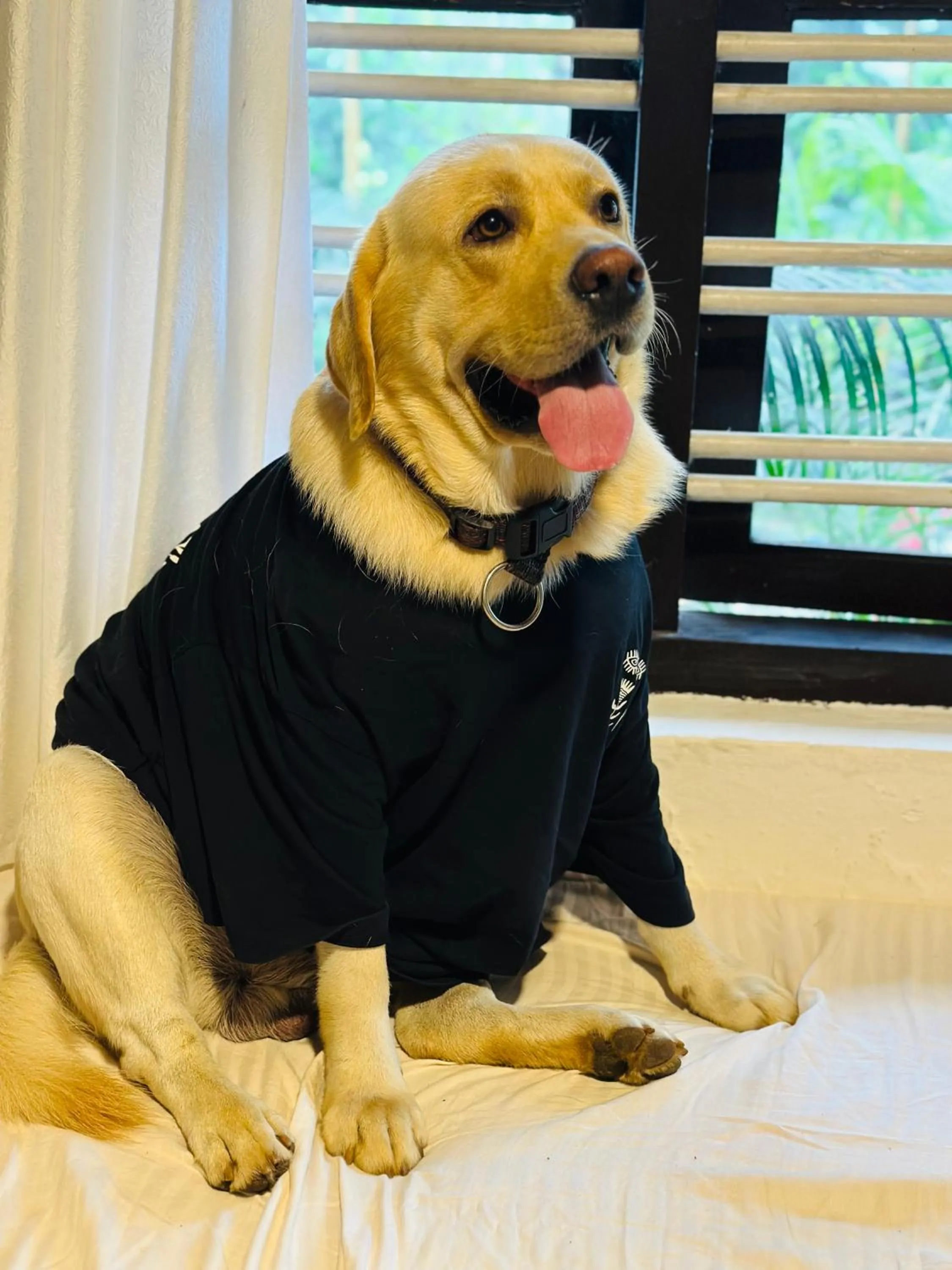 Pets in Thoppil Homestay Munnar