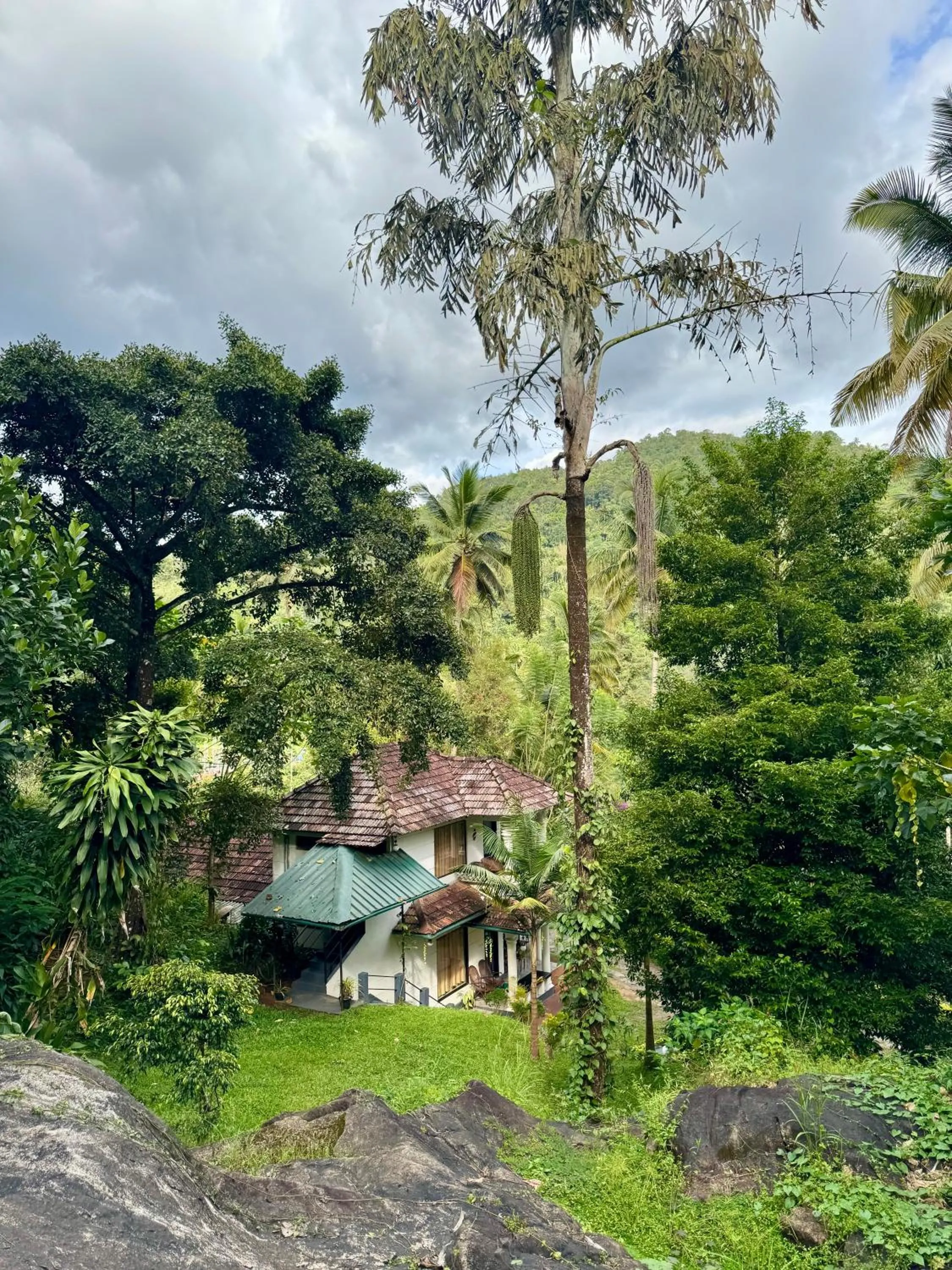 Thoppil Homestay Munnar