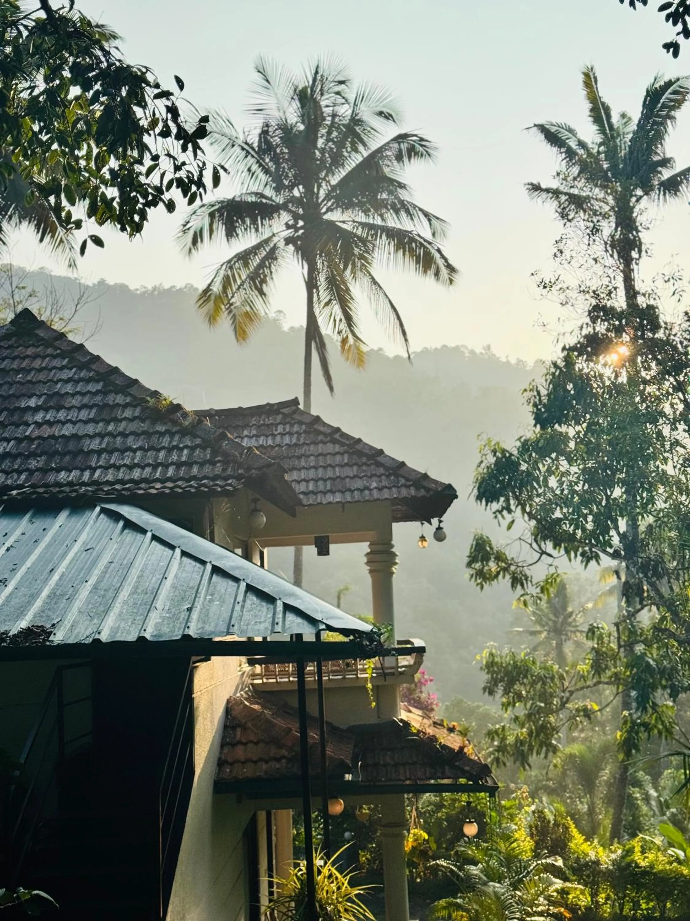 Thoppil Homestay Munnar