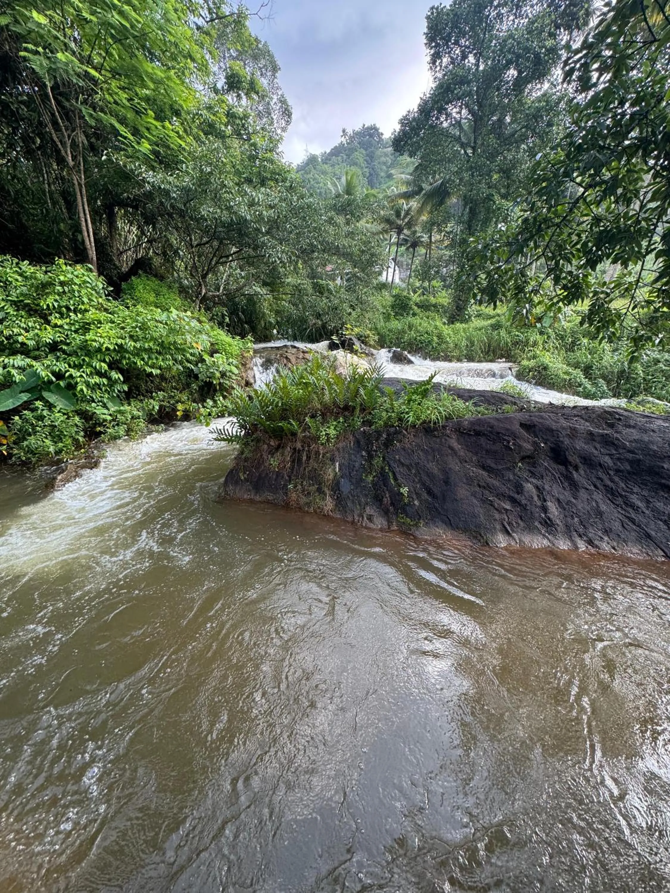 Thoppil Homestay Munnar