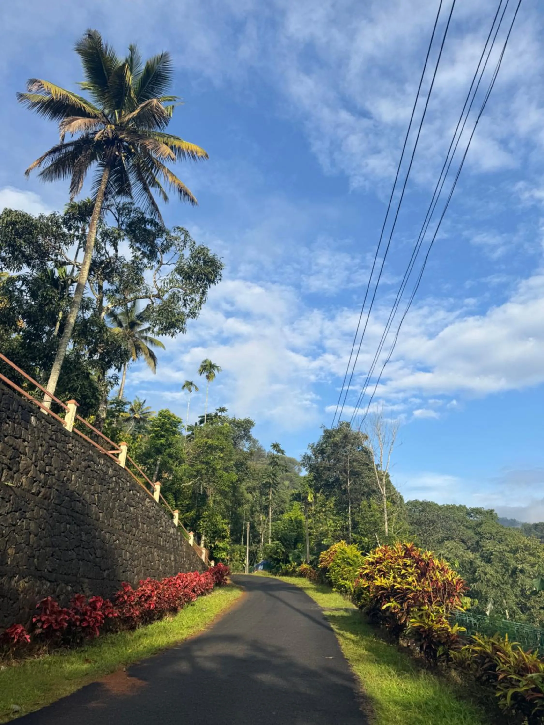 Thoppil Homestay Munnar