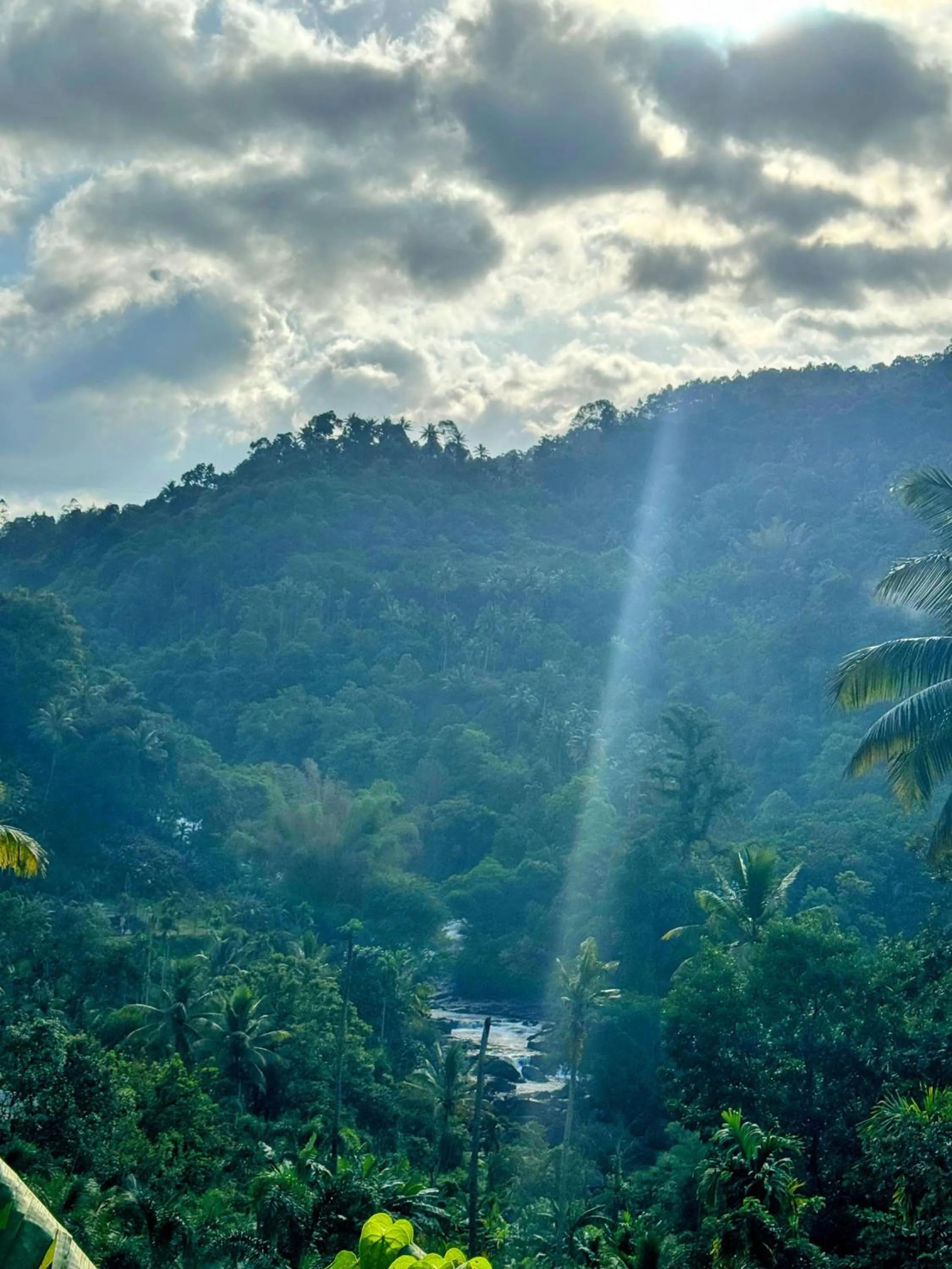 Thoppil Homestay Munnar