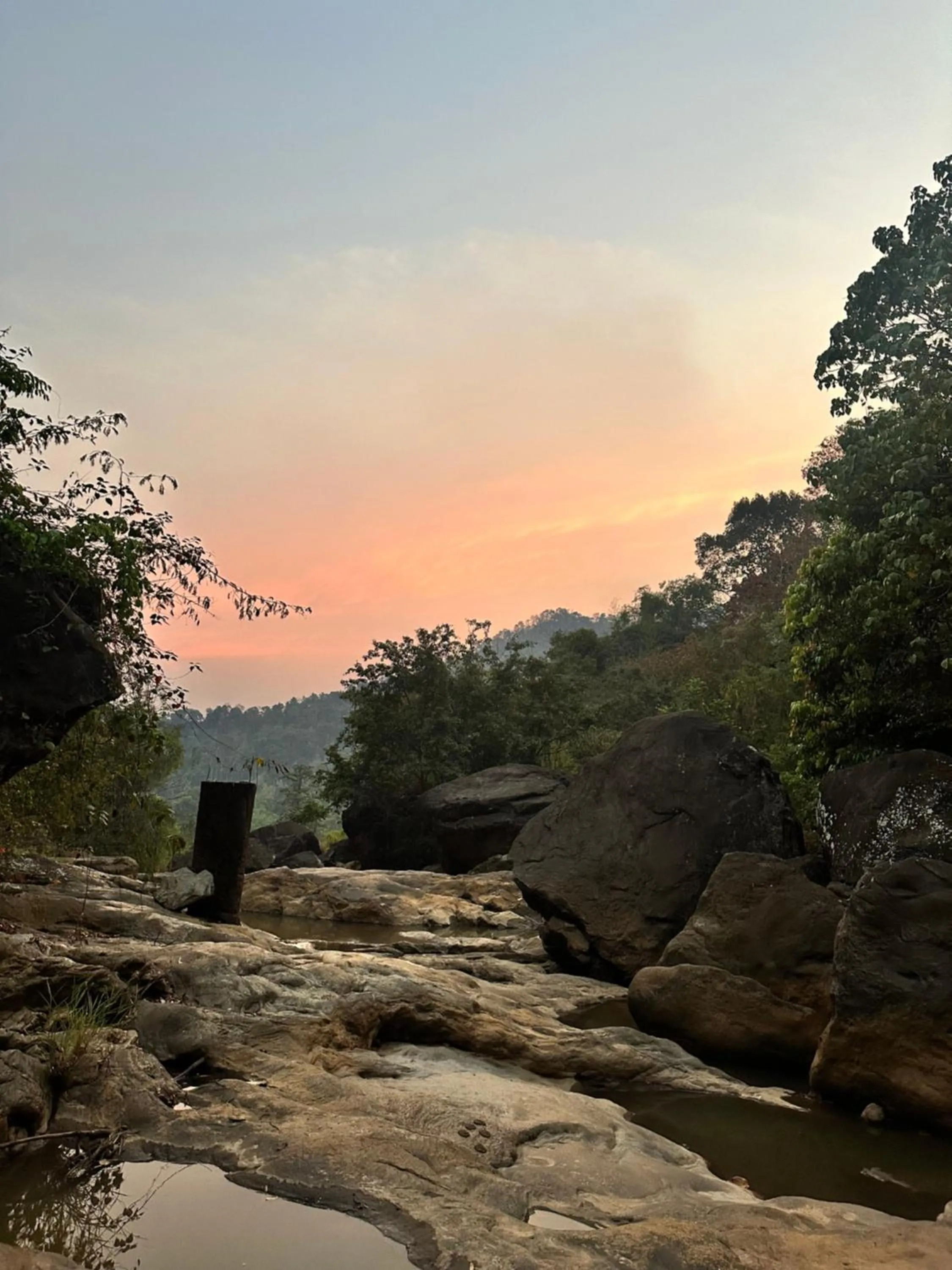 Thoppil Homestay Munnar