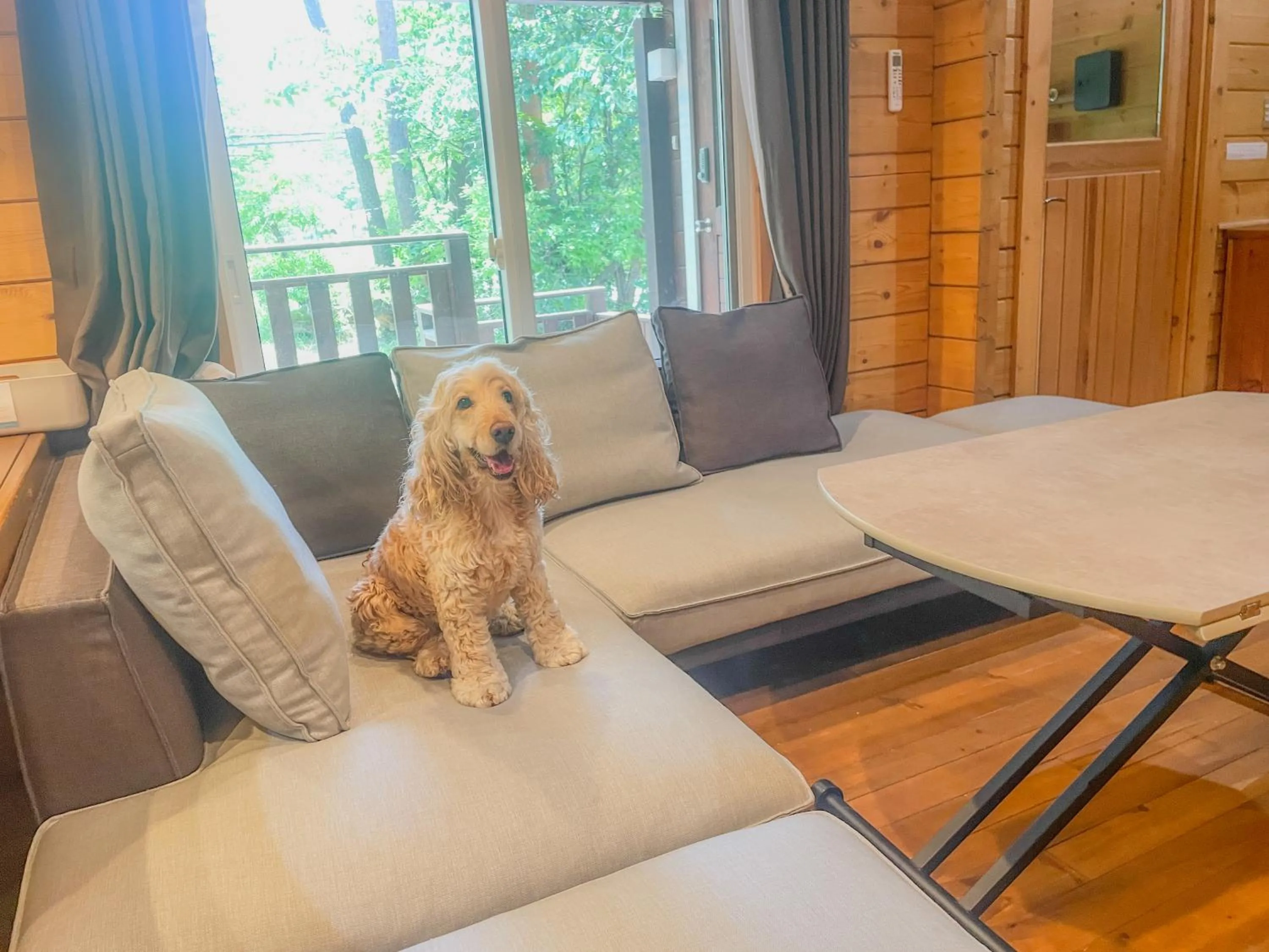 pet friendly in HAL Cottage