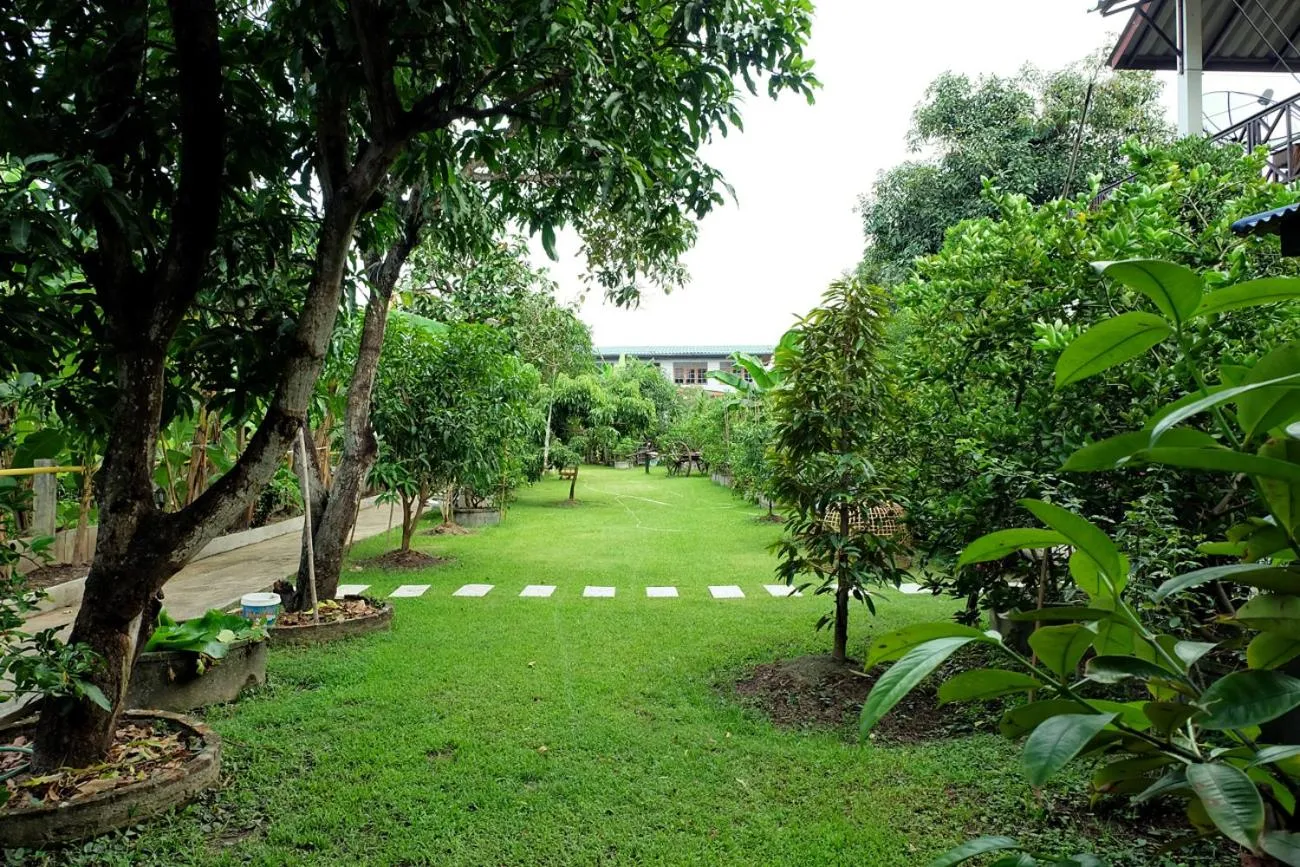 Natural landscape in Sor Vorapin Muay Thai Home